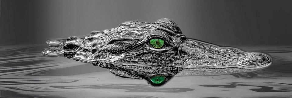 Reinders! Deco-Panel Alligator Eyes, 156/52 cm
