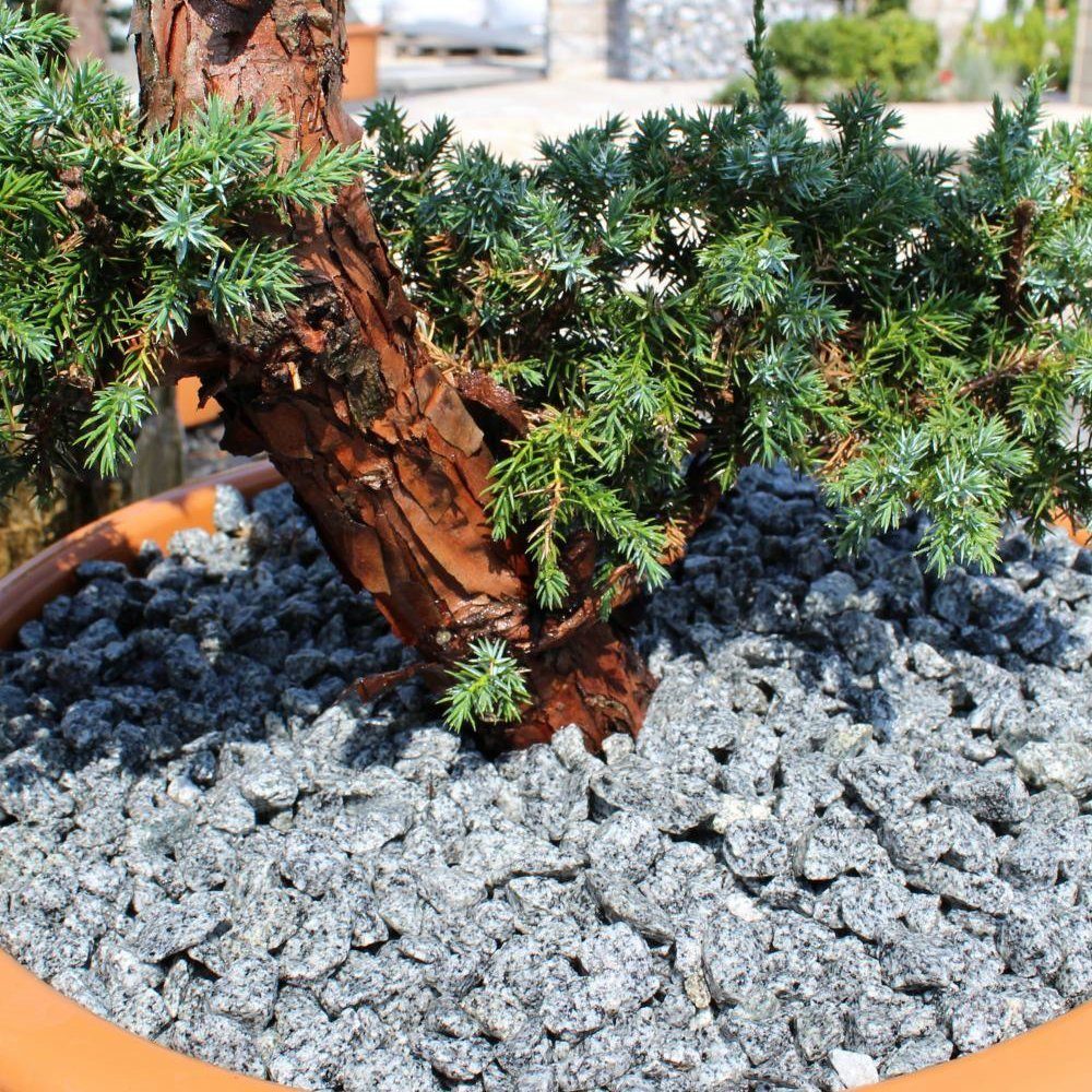 CM-Gartendesign Stein Passauer Granit Splitt, (2/5mm, grau), 250kg