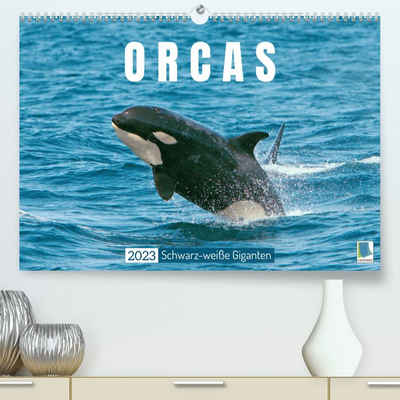 CALVENDO Wandkalender Orcas: Schwarz-weiße Giganten (Premium, hochwertiger DIN A2 Wandkalender 2023, Kunstdruck in Hochglanz)