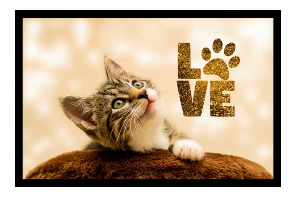 Ladreas Fußmatte Schmutzfangmatte Love Katze rutschfest günstig online kaufen