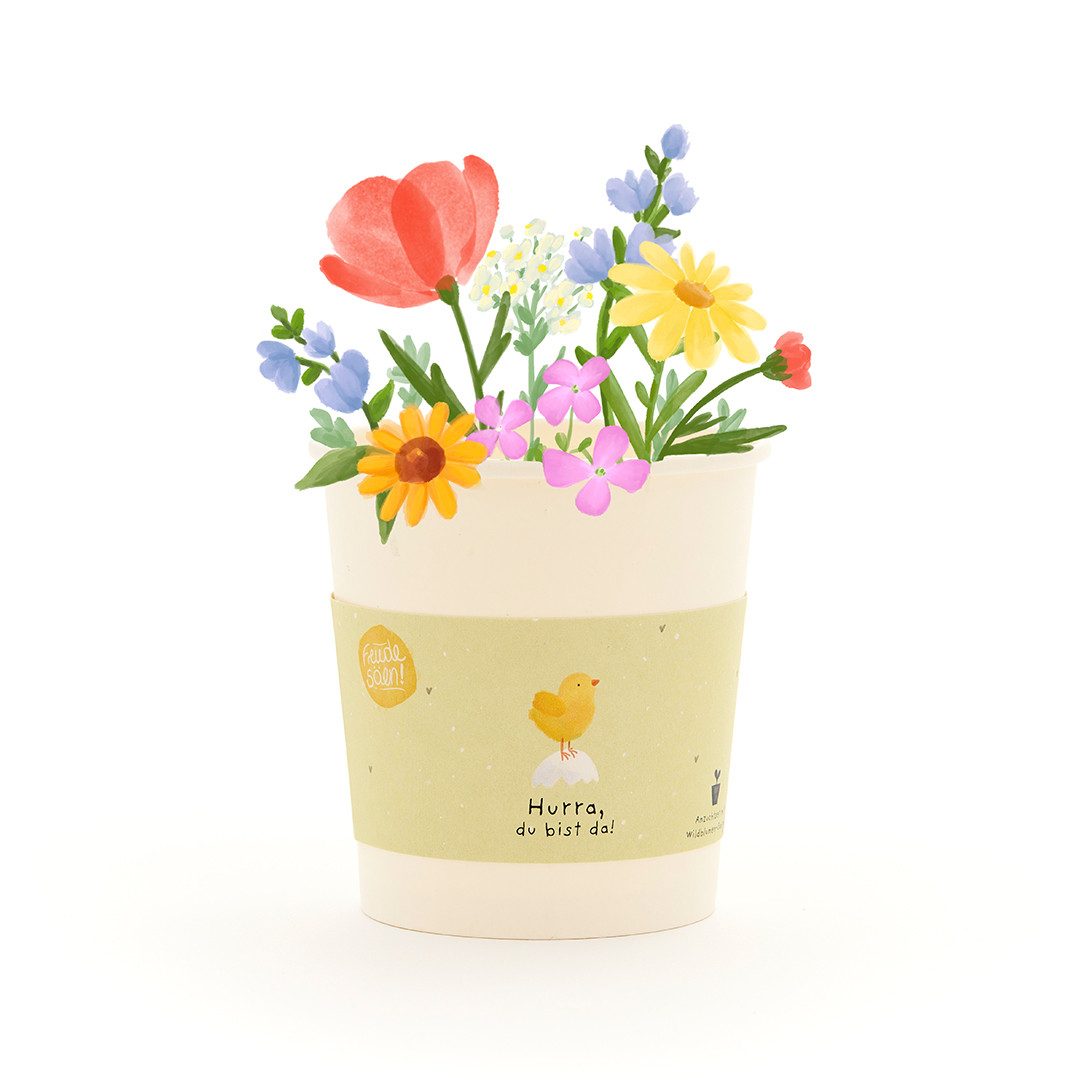 Anzuchttopf Wildblumen-Anzuchtset als Babygeschenk, Geschenkidee