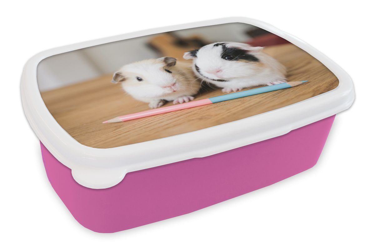 Entzückende Baby-Meerschweinchen, Kinder, Kunststoff Mädchen, (2-tlg), Brotbox für Snackbox, Brotdose Kunststoff, rosa MuchoWow Erwachsene, Lunchbox