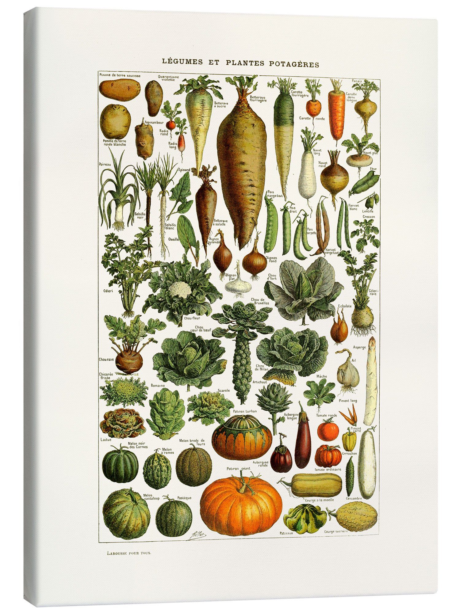 Posterlounge Wandbild Gemüse Vintage (französisch), Patruschka, erhältlich als Poster, Leinwandbild, Wandsticker oder Acrylglasbild