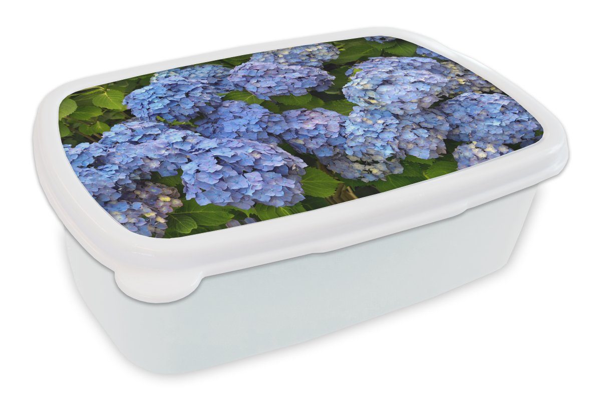 MuchoWow Lunchbox Blumenstrauß aus Hortensien, Kunststoff, (2-tlg), Brotbox für Kinder und Erwachsene, Brotdose, für Jungs und Mädchen weiß