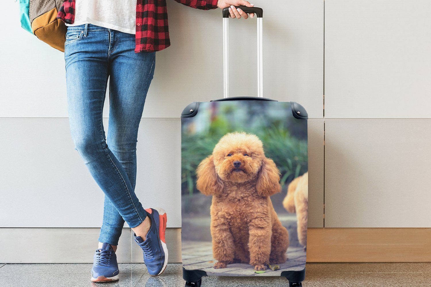 Hundepark, Handgepäckkoffer rollen, in Handgepäck sitzt für Trolley, Brauner 4 Reisekoffer mit Rollen, einem Pudel Ferien, MuchoWow Reisetasche