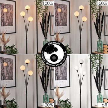 hofstein Stehlampe Stehlampe aus Metall/Glas in Schwarz/Weiß, ohne Leuchtmittel, Leuchte mit Glasschirmen (10cm), dimmbar, 3xG9, ohne Leuchtmittel