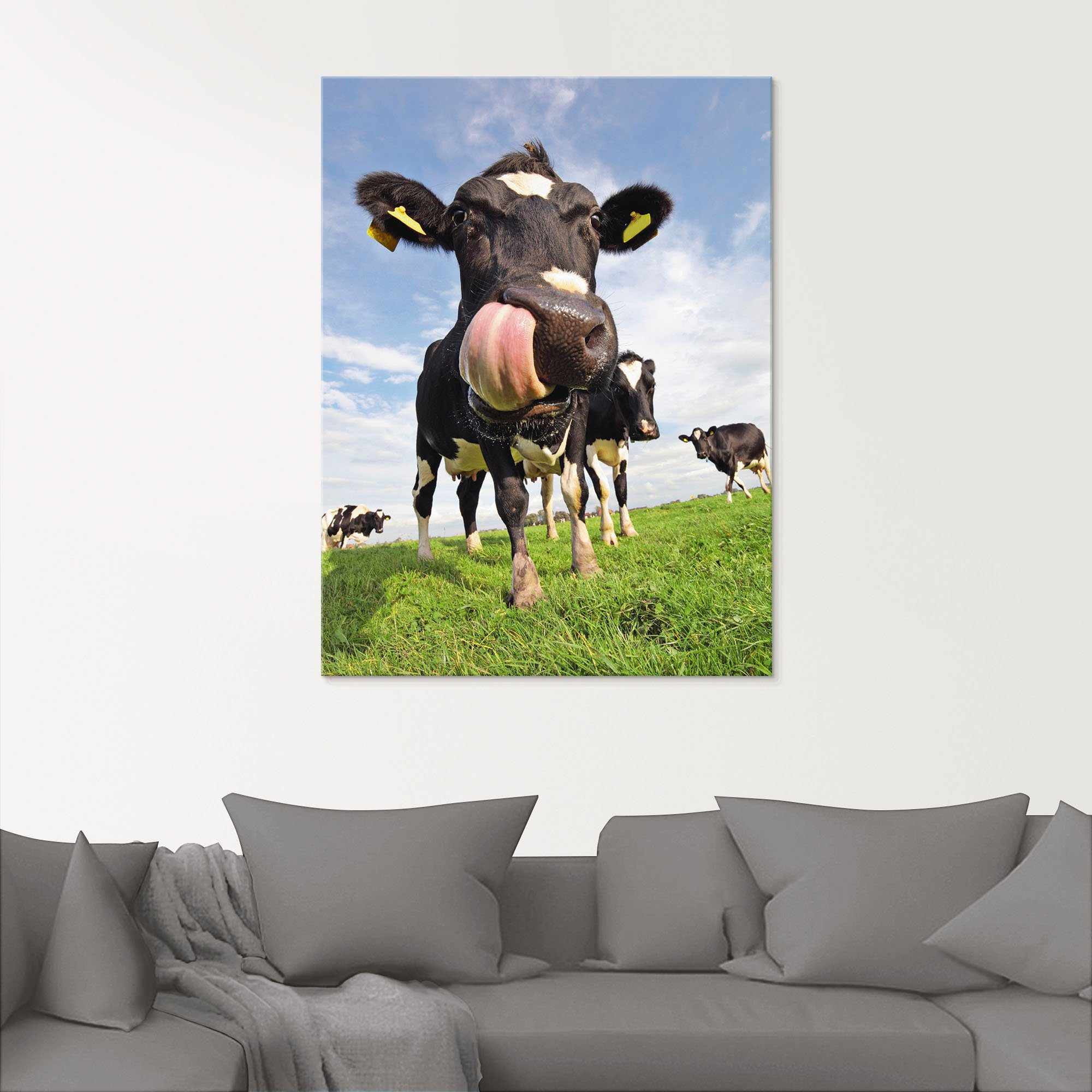 Artland Größen verschiedenen in gewaltiger Holstein-Kuh Glasbild Zunge, St), Haustiere mit (1