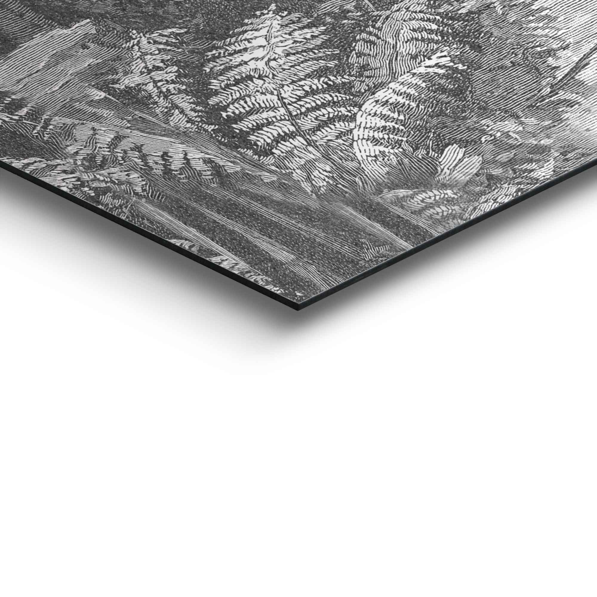 Reinders! Wandbild »Wandbild Palmen Gravur Regenwald - Ferns - 19. Jahrhundert - Australien«, Palmen (1 Stück)-kaufen