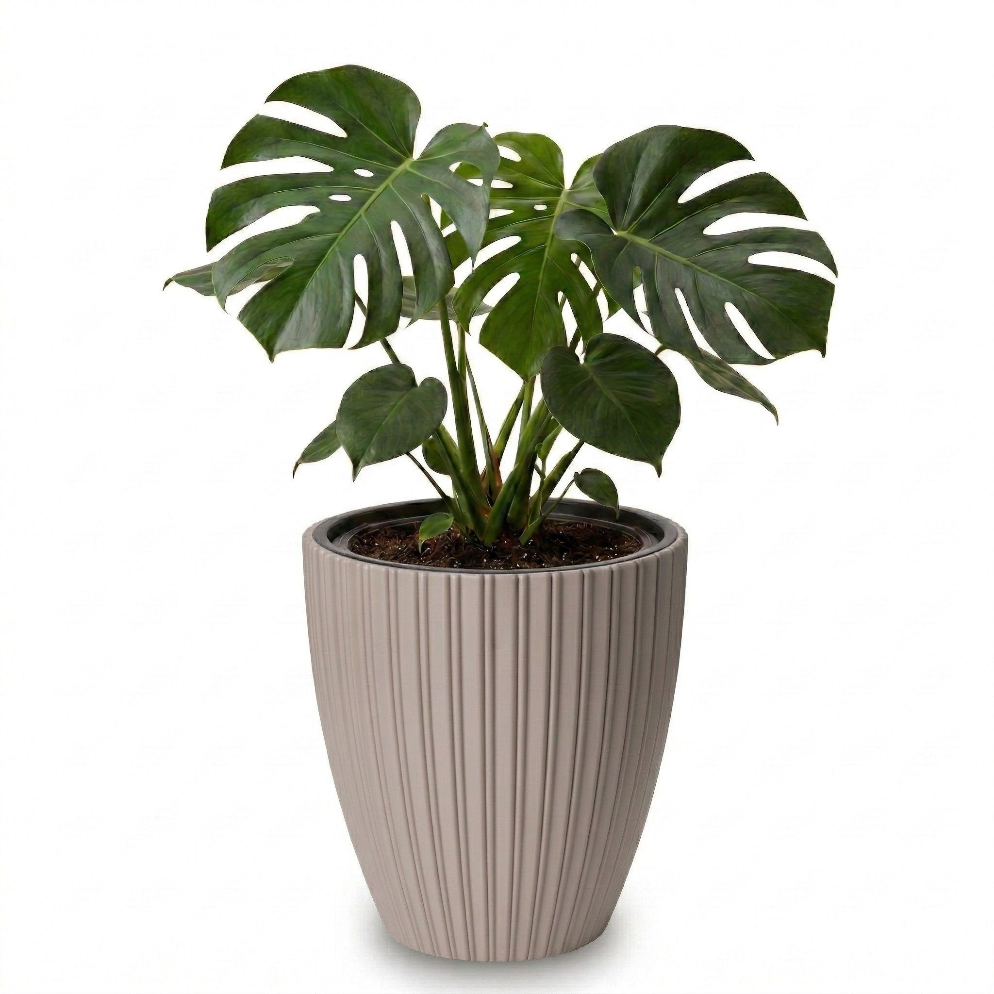 matches21 HOME & HOBBY Blumentopf Großer Outdoor Blumentopf ZENTO taupe in 29 x 32 cm (1 St), Runder innen, außen Pflanztopf als wetterfester Pflanzen-Topf