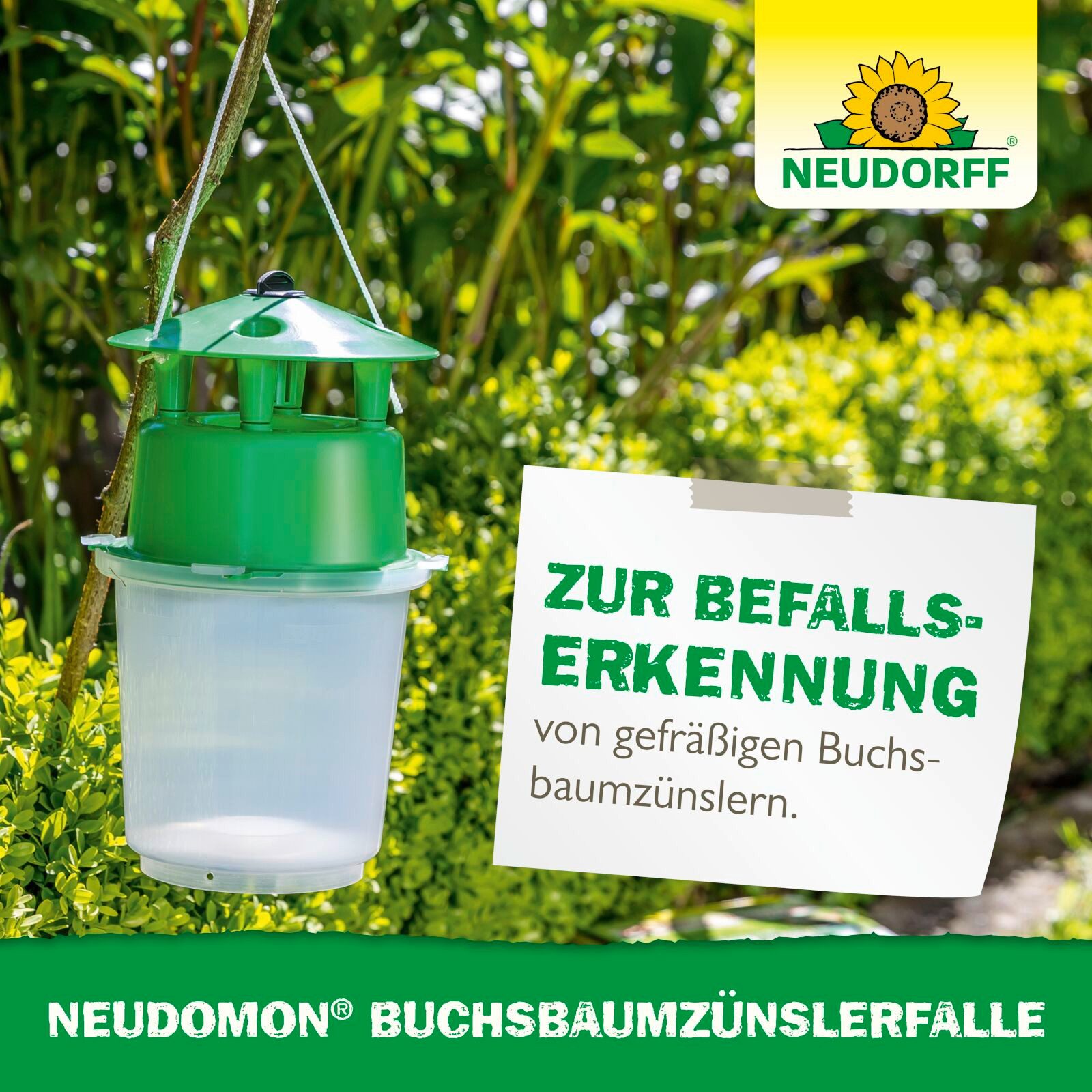Neudorff Insektenfalle Neudomon BuchsbaumzünslerFalle, 6 Stück