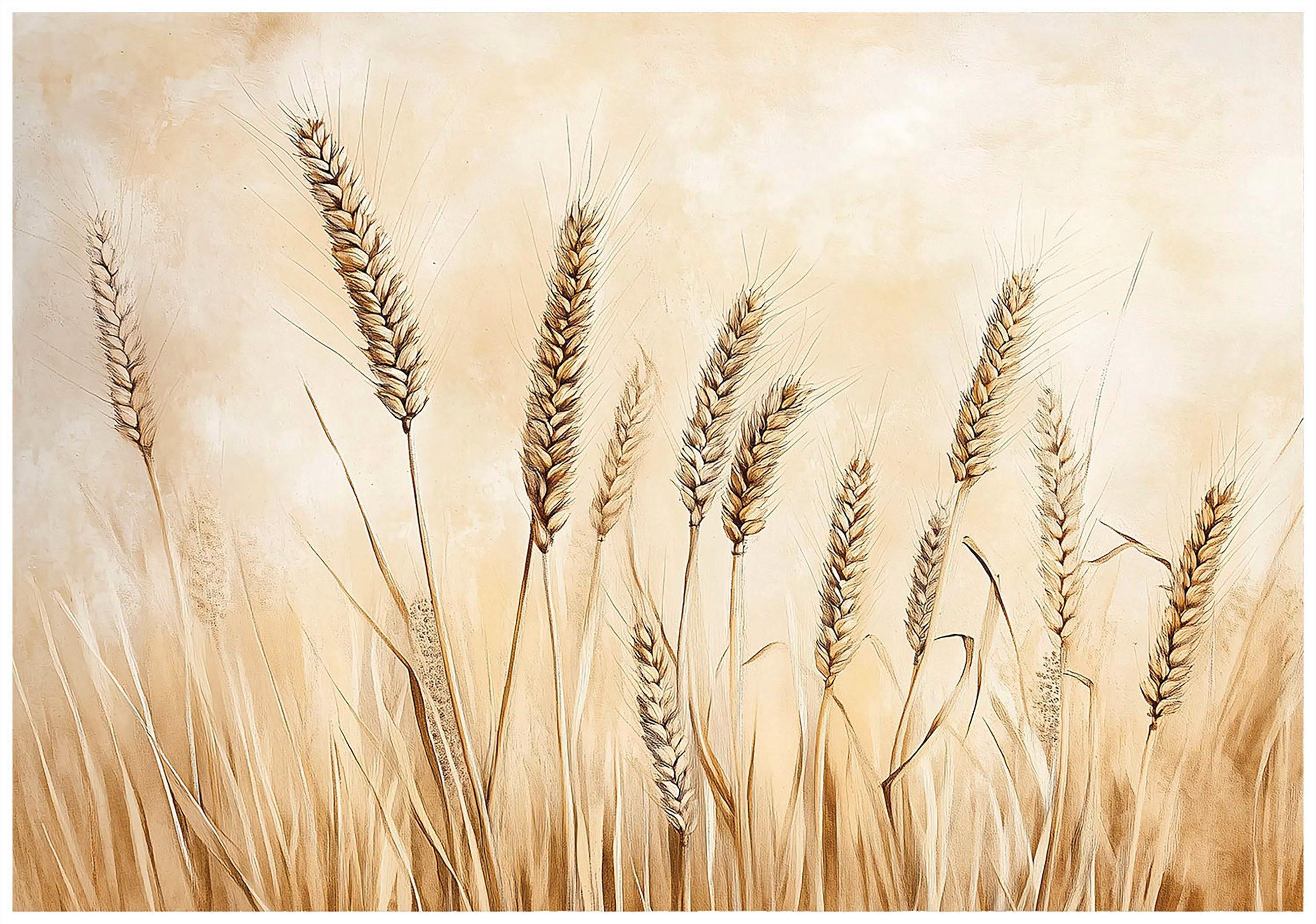 Wallarena Fototapete Gerste Natur Wiese Vlies günstig online kaufen