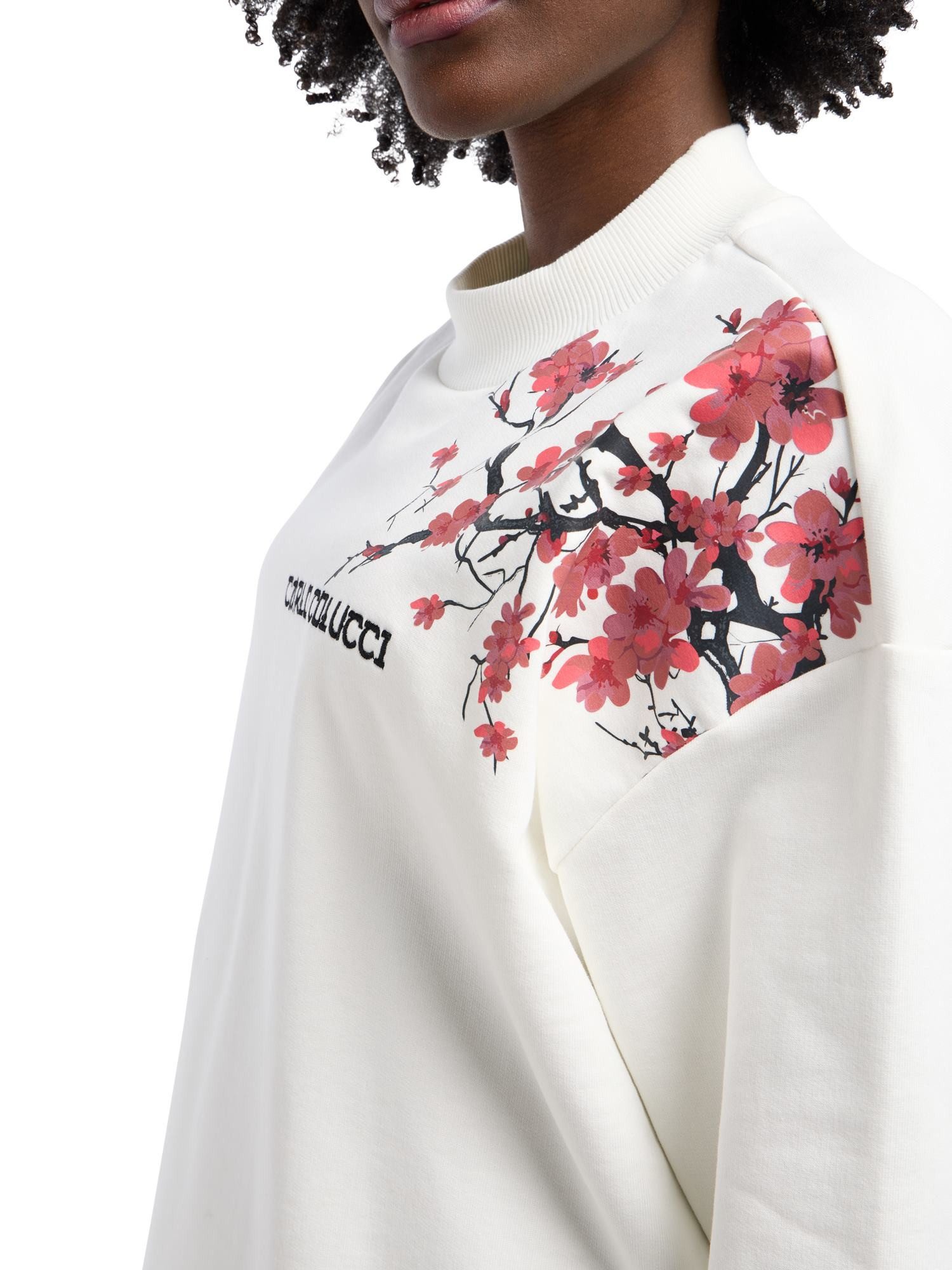 CARLO COLUCCI Sweatshirt Dragogna