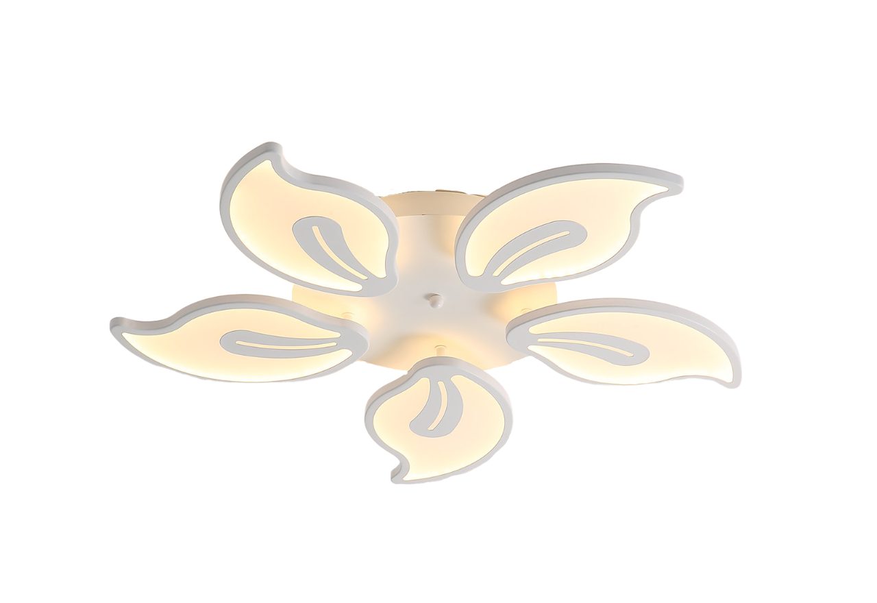 Riserva LED Dekolicht Acryl Deckenleuchte, Innen günstig online kaufen