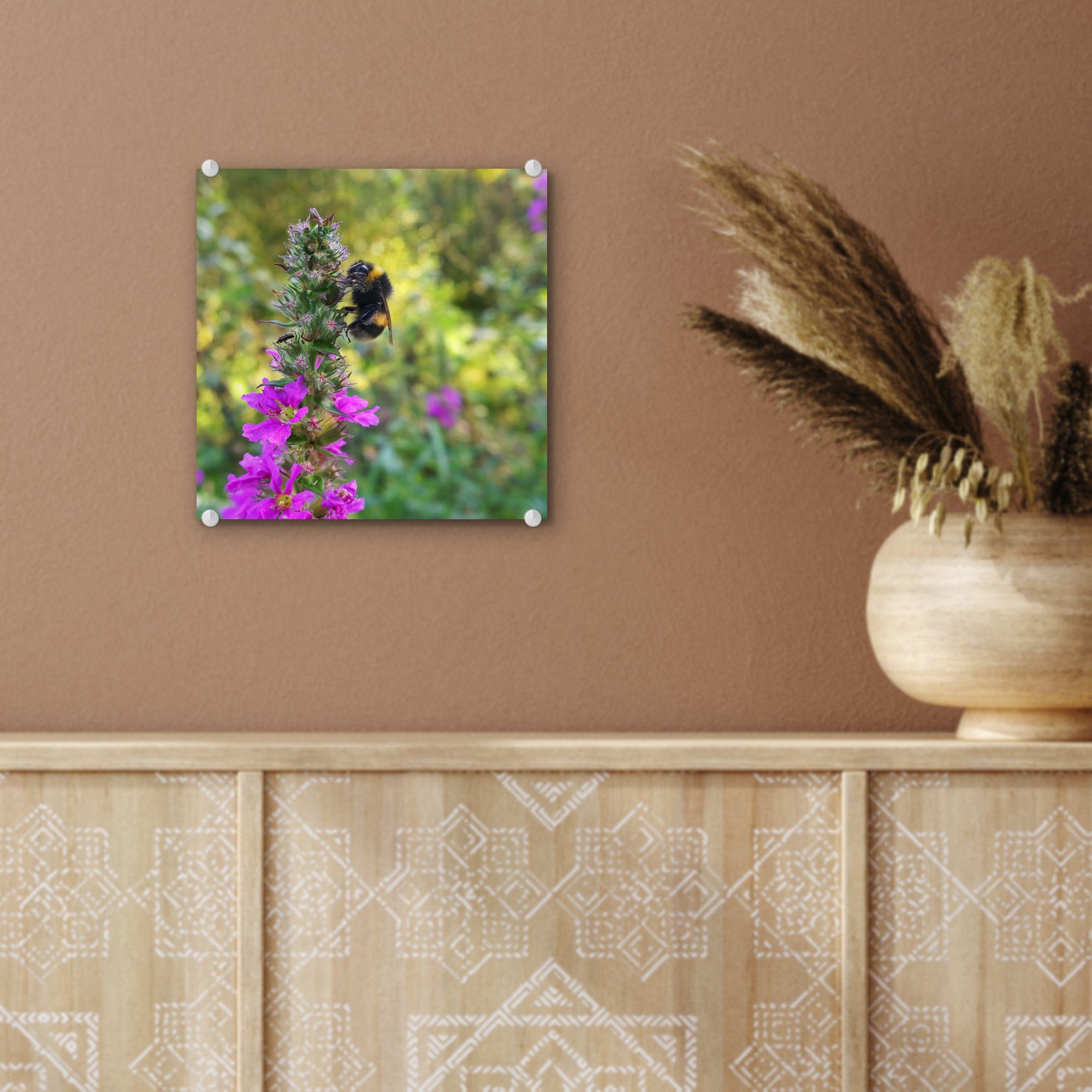 MuchoWow Acrylglasbild Hummel inmitten auf Wandbild Wanddekoration auf Bilder (1 Glasbilder Foto Glas der St), - - Wildblumen, - Glas