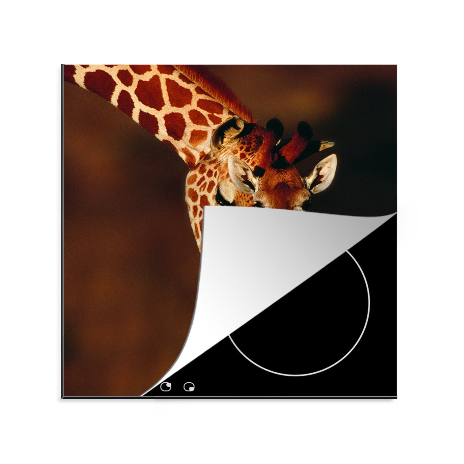 MuchoWow Herdblende-/Abdeckplatte Giraffe - Kalb - Porträt, Vinyl, (1 tlg), 78x78 cm, Ceranfeldabdeckung, Arbeitsplatte für küche