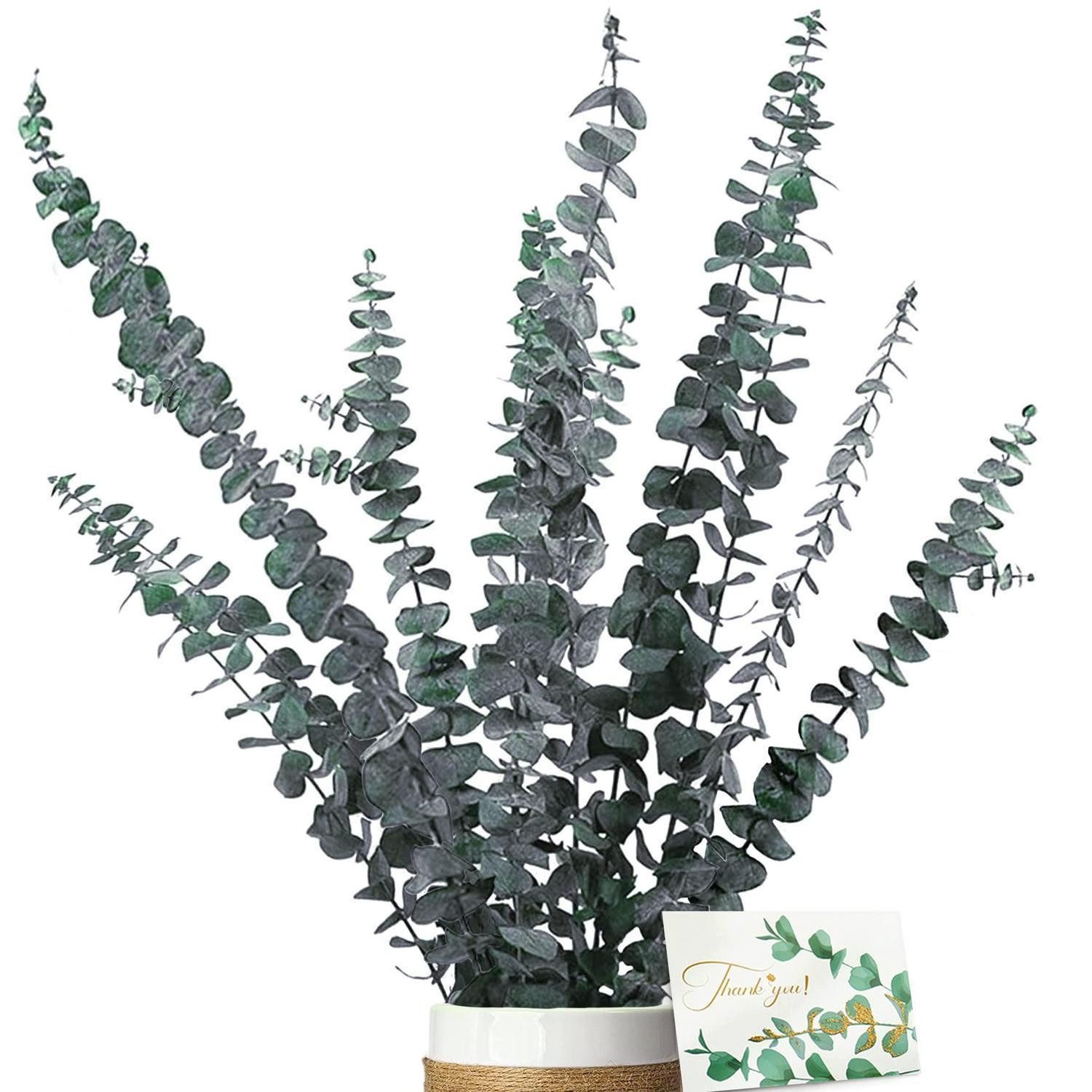 Trockenblume Getrockneter Eukalyptus 11St. Deko BlauGrün, LuxusKollektion, Höhe 1 cm