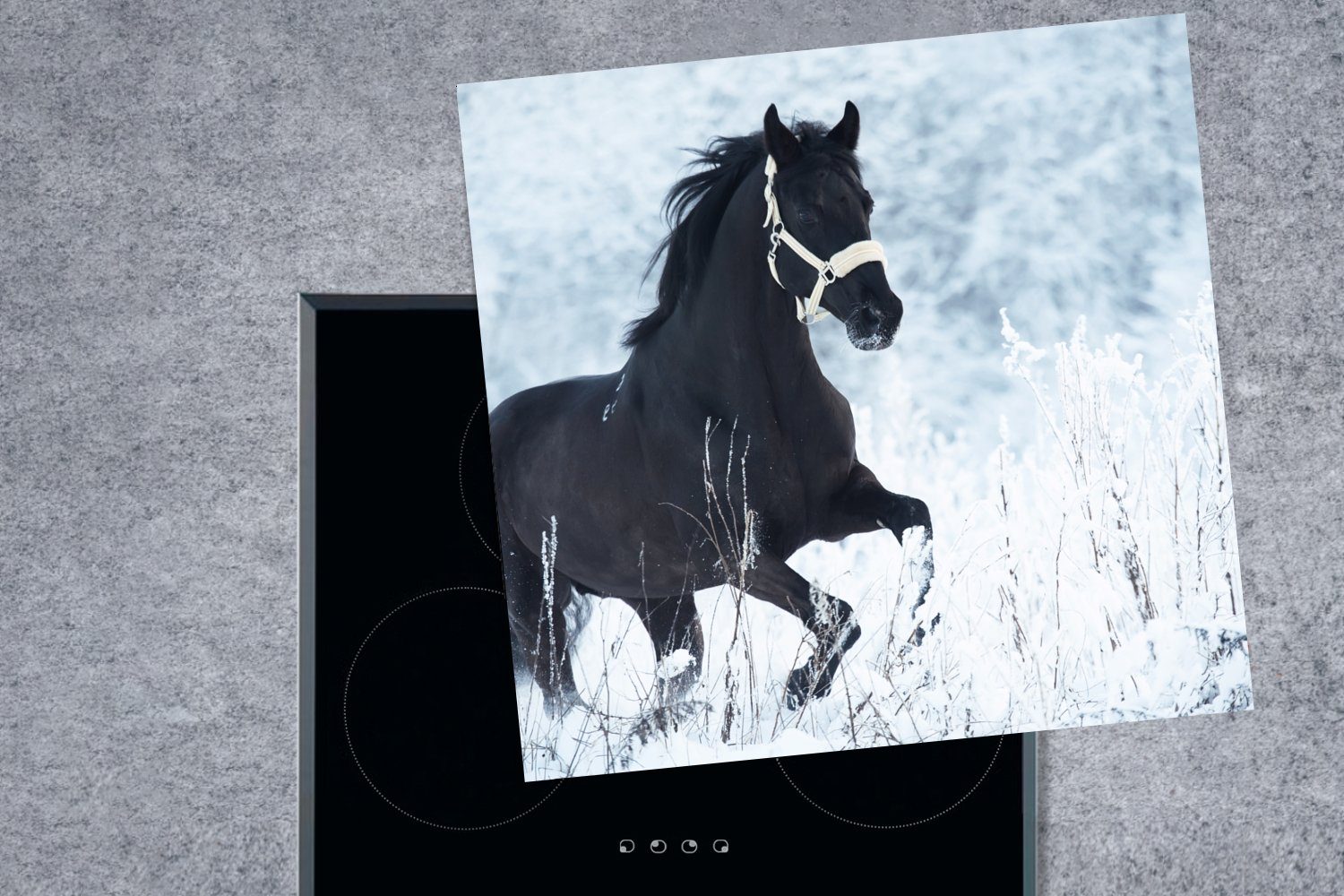 MuchoWow Herdblende-/Abdeckplatte Pferd - Schnee für tlg), - Arbeitsplatte Vinyl, 78x78 Winter, Ceranfeldabdeckung, küche cm, (1