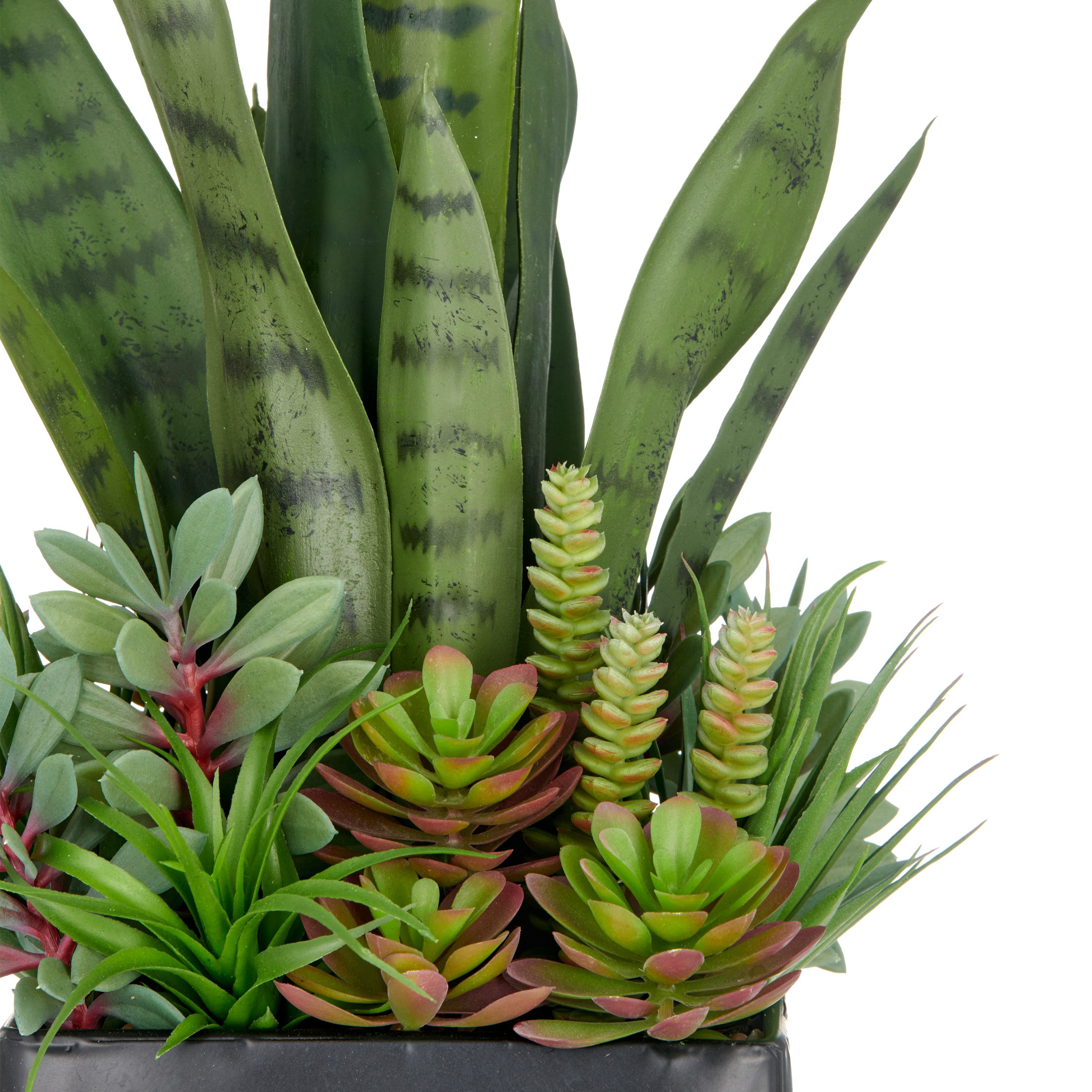 Kunstpflanze Arrangement aus Sukkulenten, Creativ green, Höhe 55 cm, mit ve günstig online kaufen