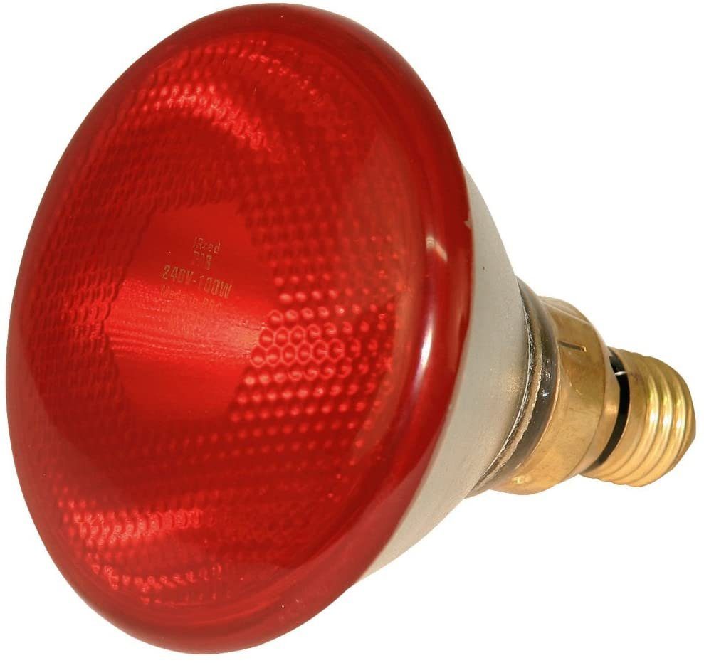 Infrarotlampe Kerbl Infrarotlampe Sparlampe rot (175 W, WŠrmelampe fŸr Schweine +