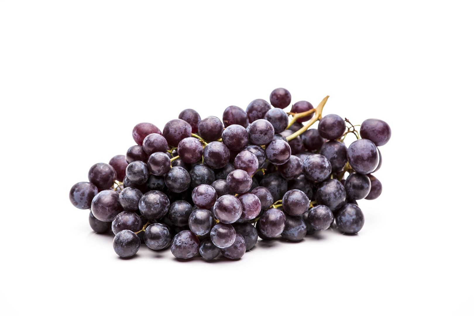 Pflanzen für Dich Obstpflanze Vitis vinifera blau, 1 St., Blaue Weinrebe, Weinrebe, Edle Weinrebe, blaue Trauben, kletterpflanze