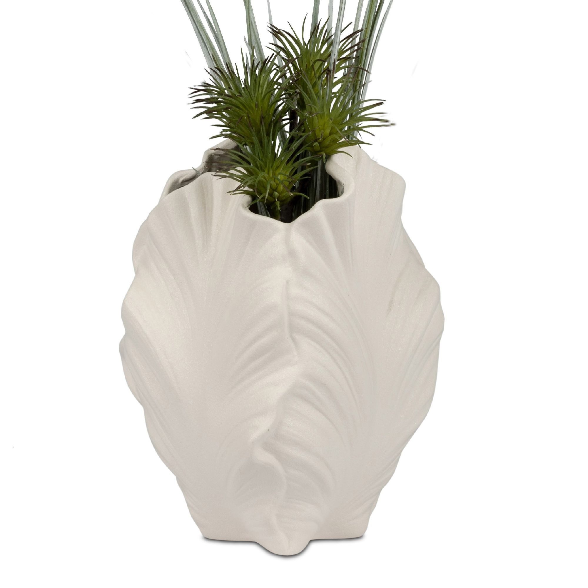 formano Dekovase Koralle, Höhe: 21cm, Farbe: Weiß, Motiv: Koralle