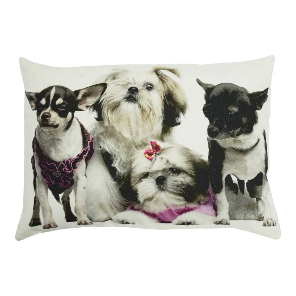 Mars & More Dekokissen Mars & More Kissen Chihuahua Hunde 35x50 cm mit Füllung Fotokissen