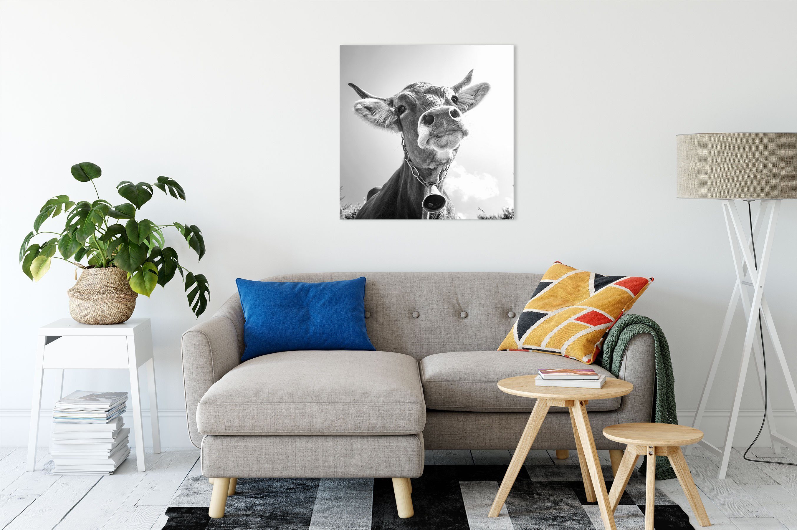 inkl. Pixxprint bespannt, Kuh einer (1 Portrait einer St), Leinwandbild fertig Kuh, Leinwandbild Zackenaufhänger Portrait