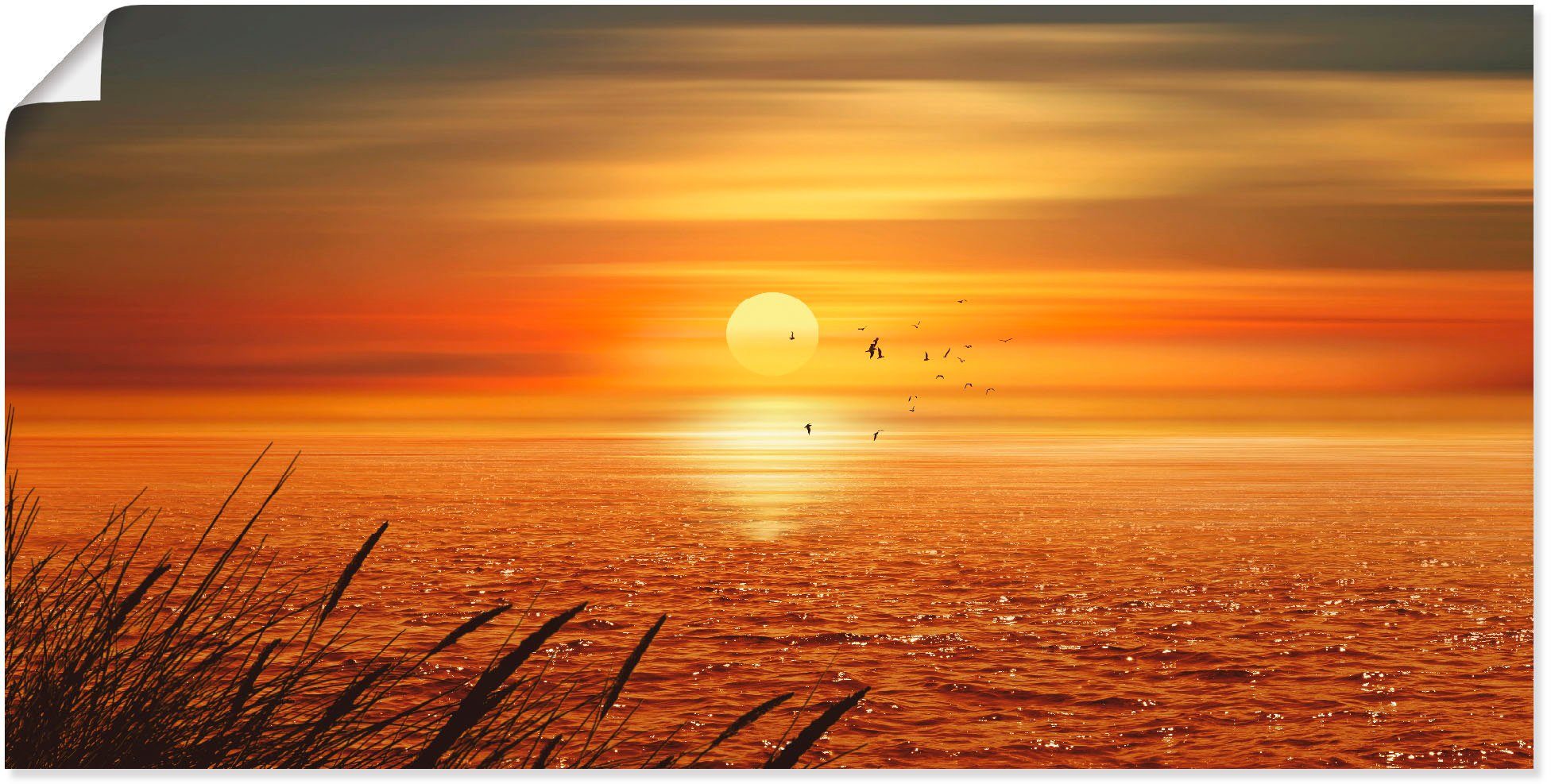 Bild Bilder Auf Leinwand Wunderschoner Sonnenuntergang Uber Dem Meer Mit Blick Auf Palmen Am Weissen Strand Auf Der Karibikinsel Barba Wandbild Poster Leinwandbild Qbcu Kuche Haushalt Wohnen Fotografien Grupotecc Com Ar