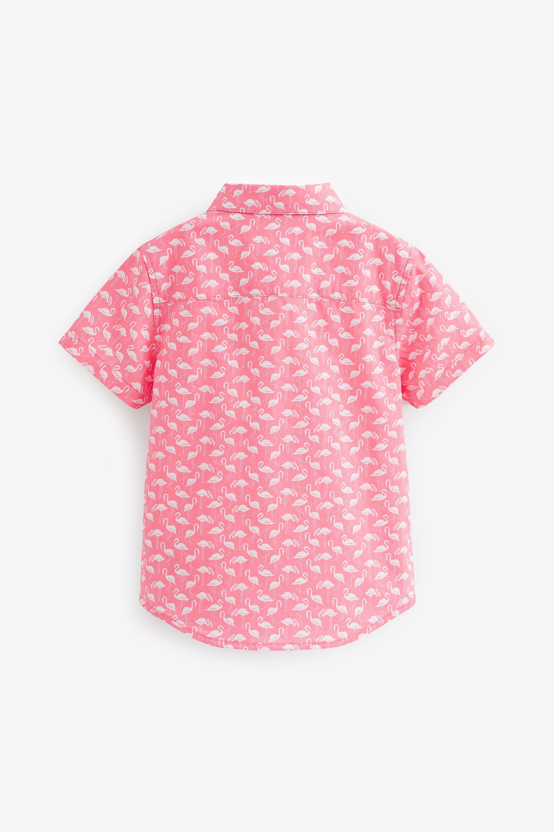 Next Kurzarmhemd Kurzärmliges, Hemd Pink (1-tlg) Flamingo bedrucktes
