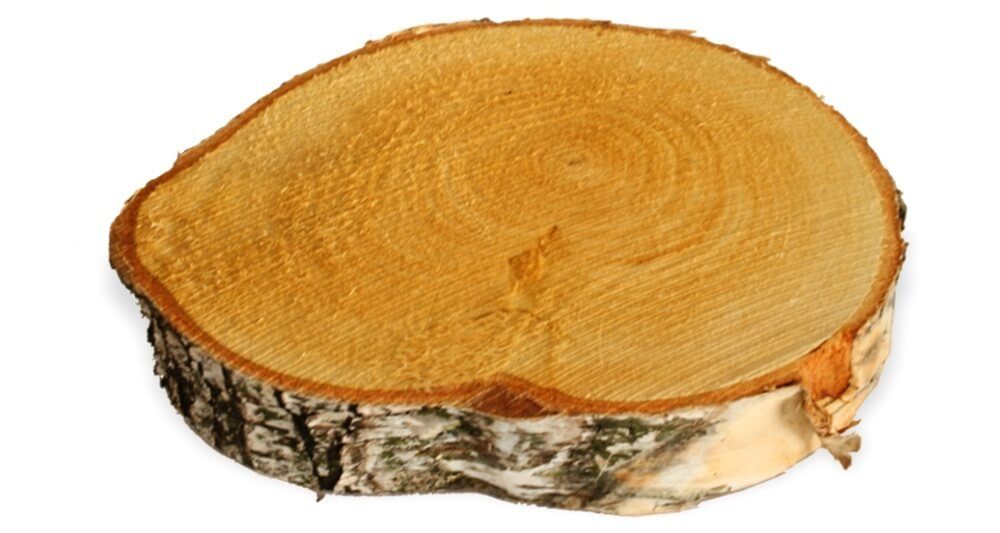 matches21 HOME & HOBBY Bastelnaturmaterial Baumscheiben 1 Stk. Dekoholz Holzscheibe Holzplatte 15 - 20 cm, (1-tlg), 100% deutsche Birkenscheiben für Basteln Dekorieren Tischdeko