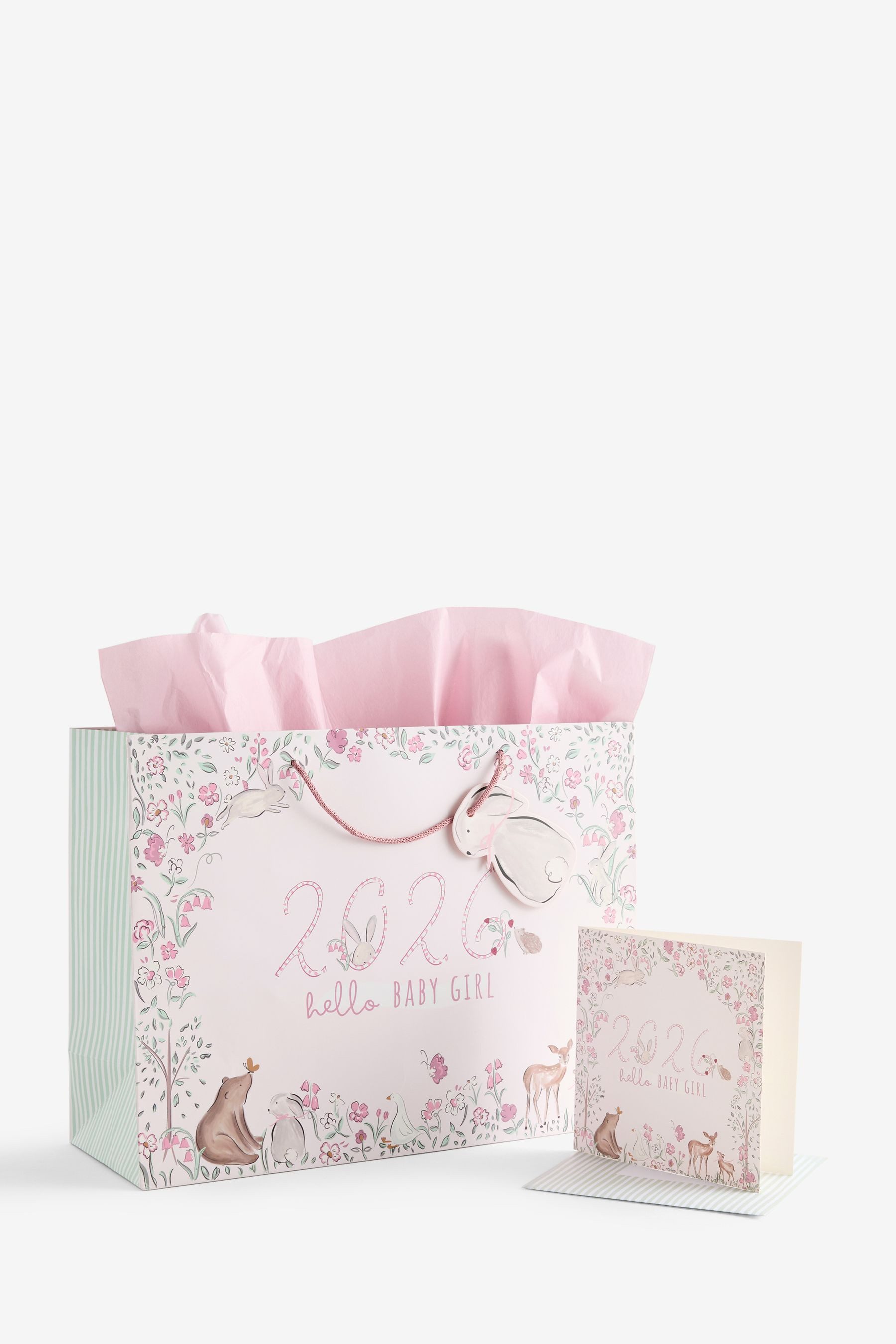 Next Geschenkpapier Geschenktüte und Karte, Baby Girl Born in 2026, (1St)