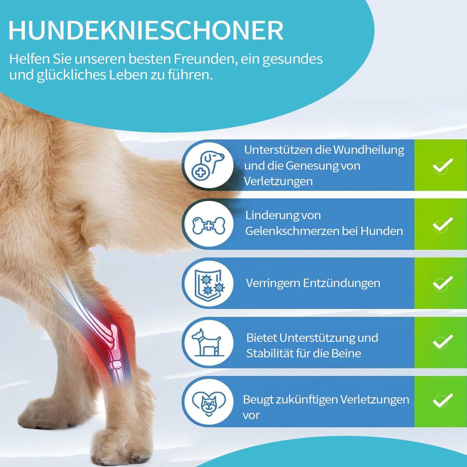 LIANNA Knieschleifer Verstellbare Hundekniestütze bei Kreuzbandriss mit Klettverschluss (Set, 1-tlg., Kniebandage für Hunde, verstellbare Kniestütze bei Kreuzbandriss), Kniebandage für Hunde, verstellbare Stütze bei Kreuzbandverletzung