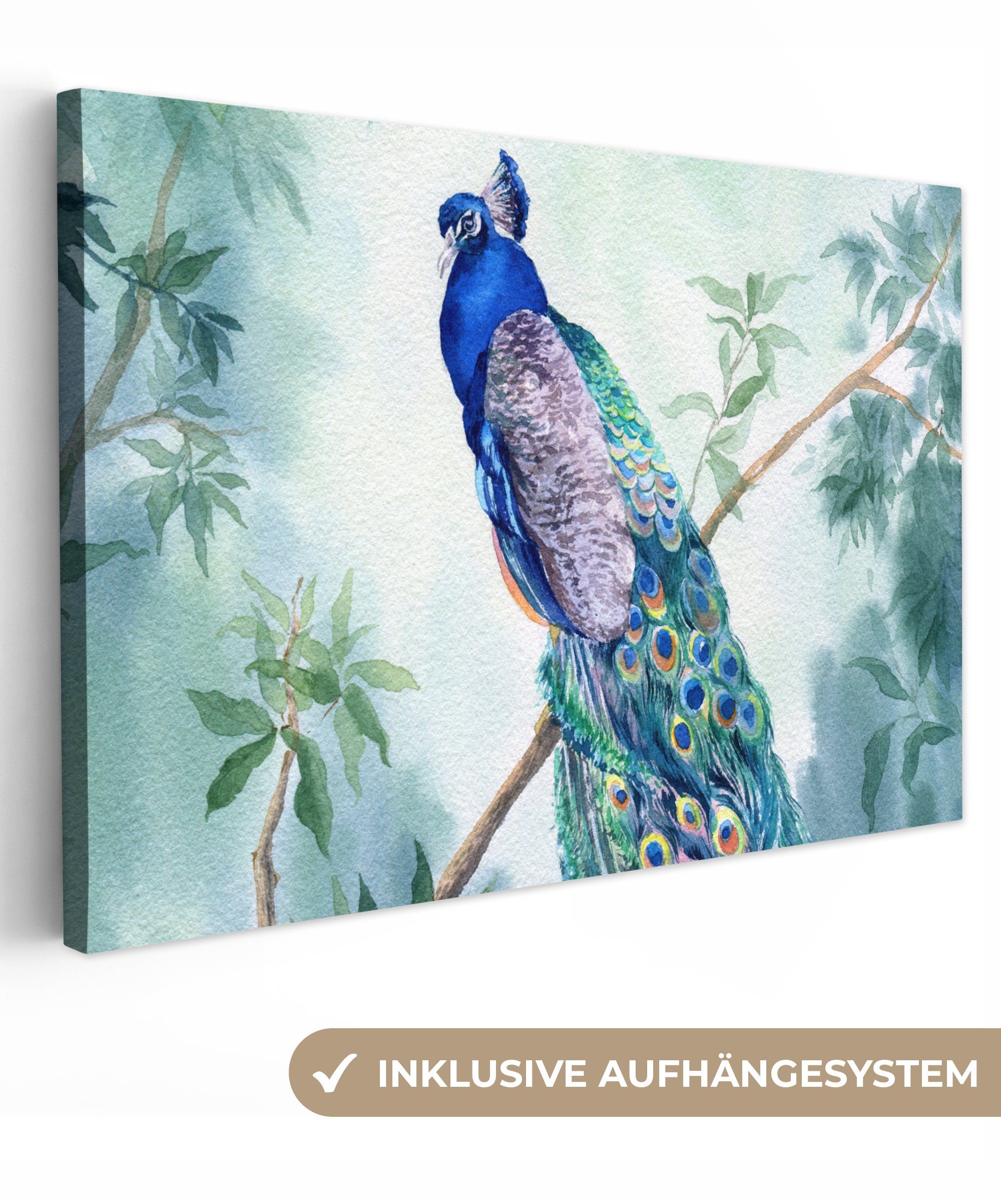 OneMillionCanvasses® Leinwandbild Pfau - Pfauenfedern - Grün - Tiere, Fotodruck (1 St), Leinwand Bilder Klein, Wand Dekoration Aesthetic 30x20 cm