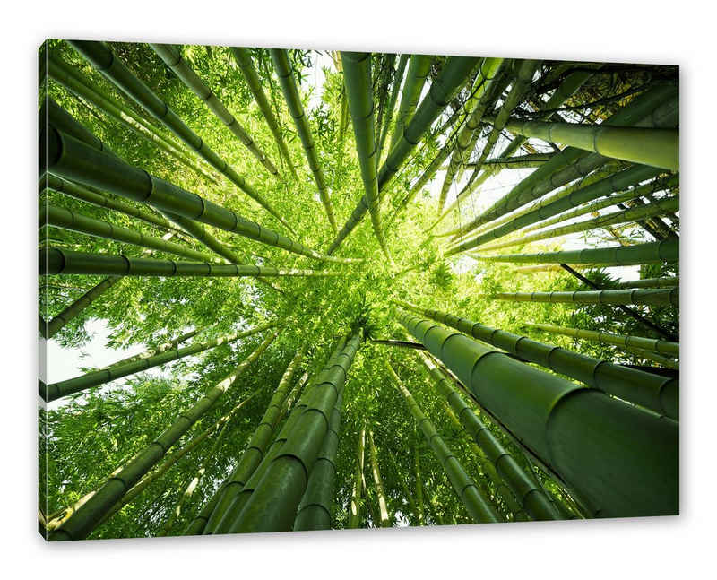 Pixxprint Leinwandbild Grüner Bambus, Grüner Bambus (1 St), Leinwandbild fertig bespannt, inkl. Zackenaufhänger