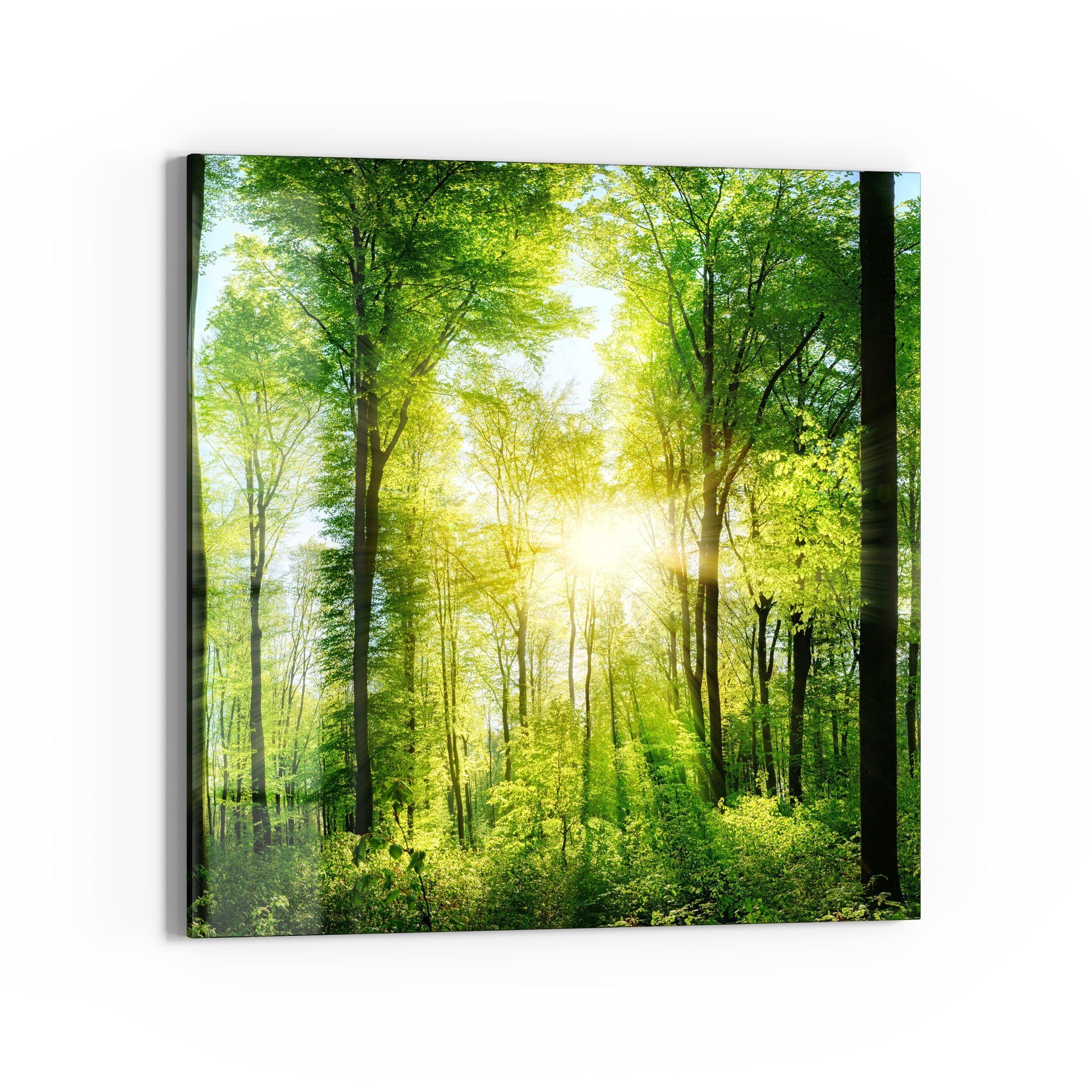 DEQORI Glasbild 'Sonne durchbricht Wald', 'Sonne günstig online kaufen