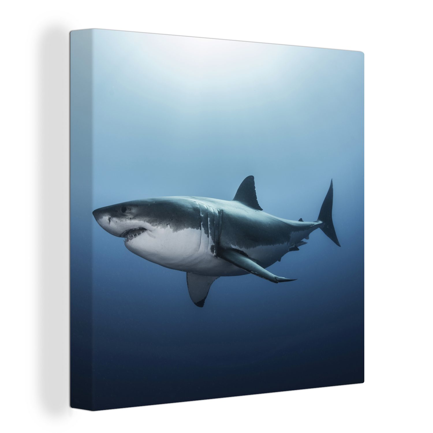 OneMillionCanvasses® Leinwandbild Seitenansicht eines Weißen Hais, (1 St), Leinwand Bilder für Wohnzimmer Schlafzimmer