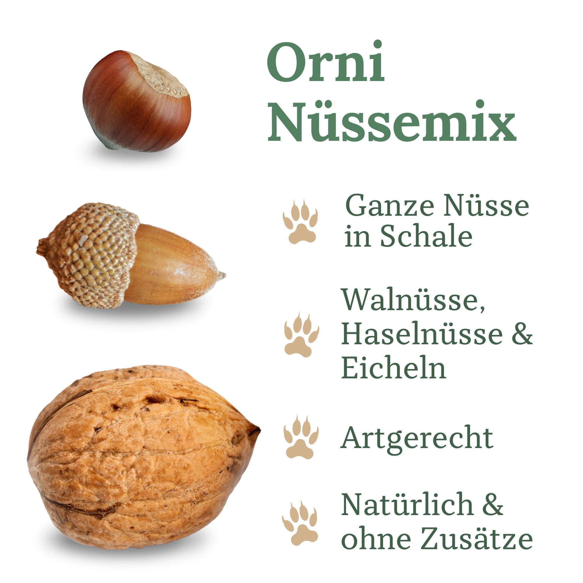 Orni Artgerechter Nüsse Mix für Eichhörnchen 1kg - Nüsse mit Schale, Ergänzungsfutter für: Nutz-/ Wildtier