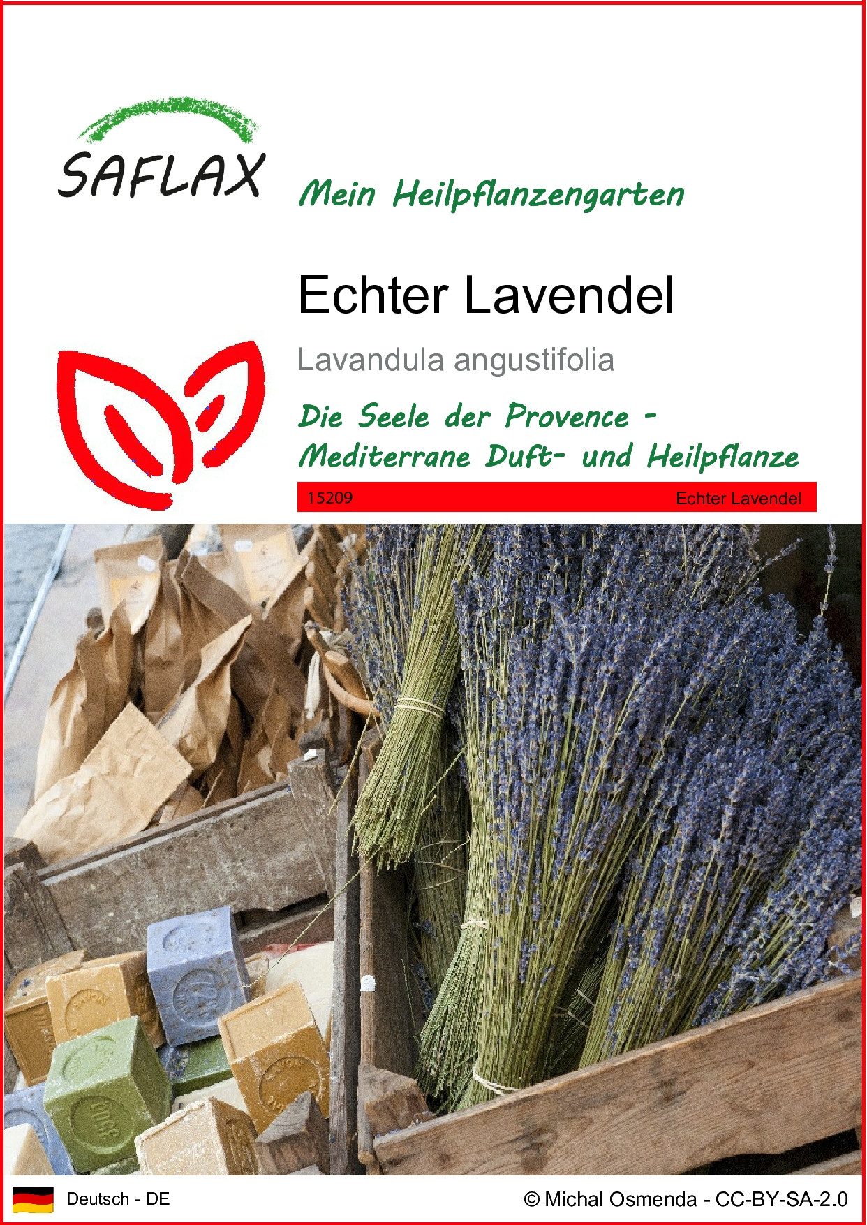 Blumensamen SAFLAX - Samen - Echter Lavendel