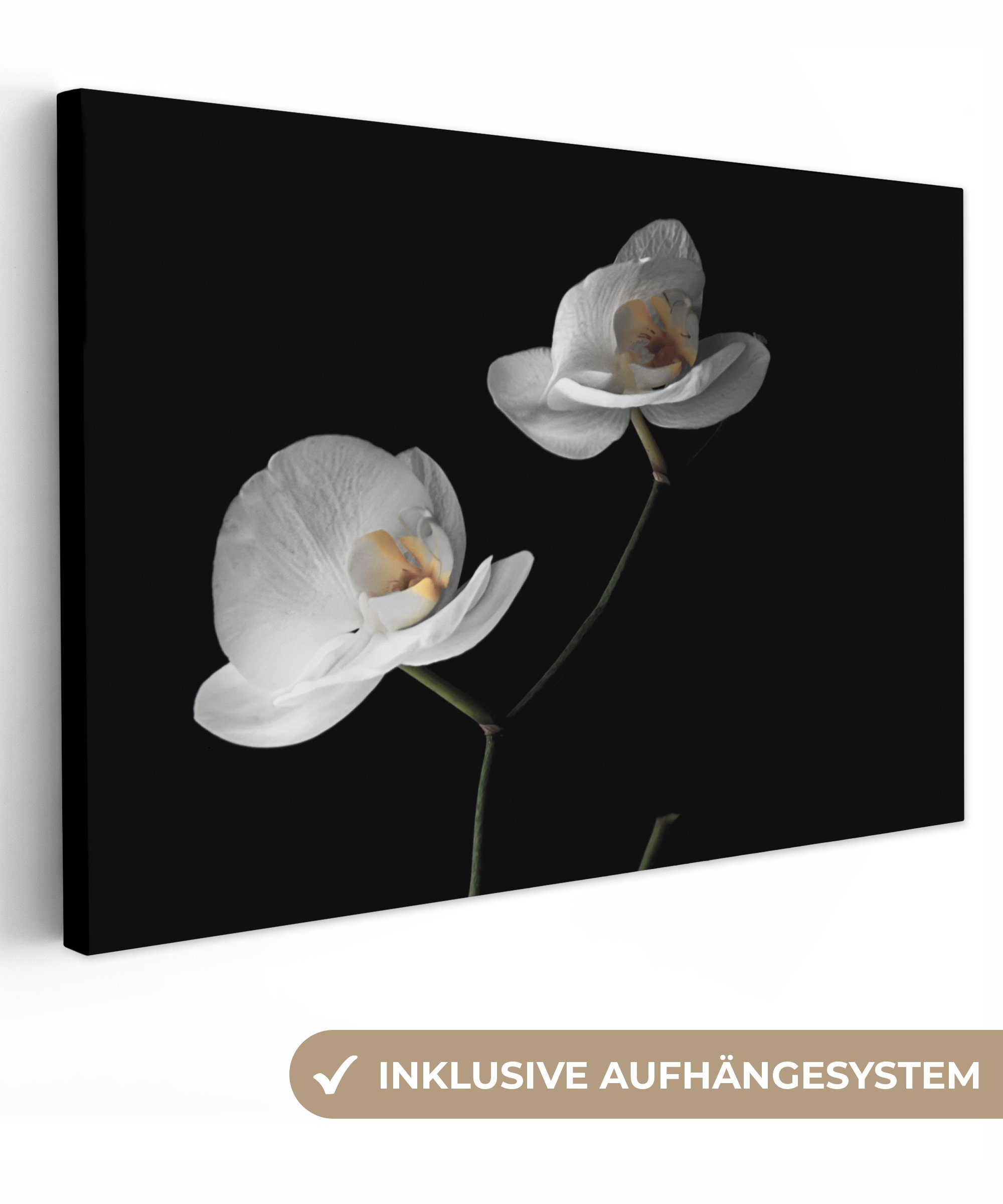 OneMillionCanvasses® Leinwandbild Orchidee - Blumen - Schwarz - Weiß - Stilleben, Fotodruck (1 St), Leinwand Bilder Klein, Wand Dekoration Aesthetic 30x20 cm