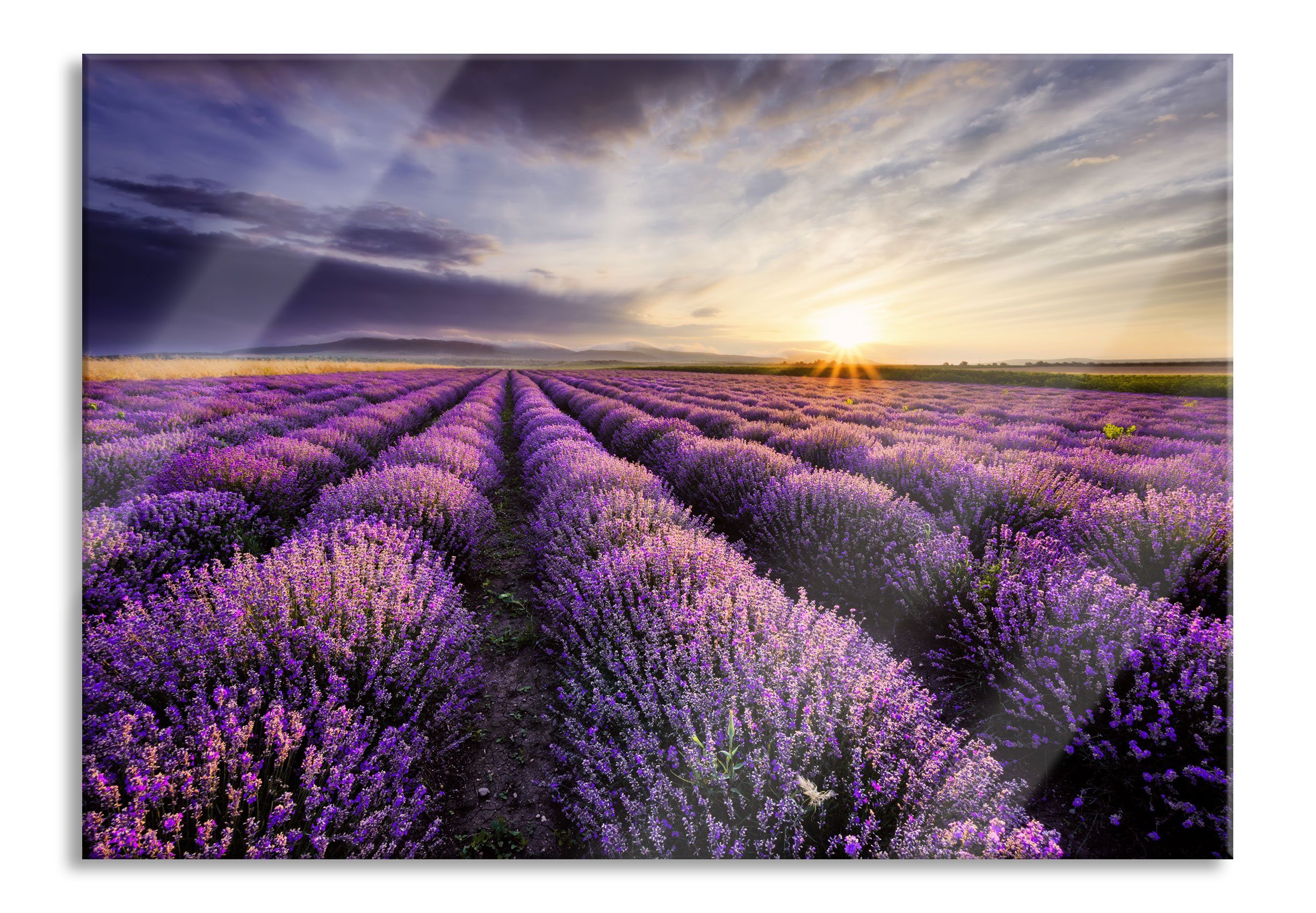 Abstandshalter Lavendel inkl. St), Lavendel Provence Echtglas, aus Pixxprint Aufhängungen Traumhafte Glasbild Provence, (1 Traumhafte Glasbild und