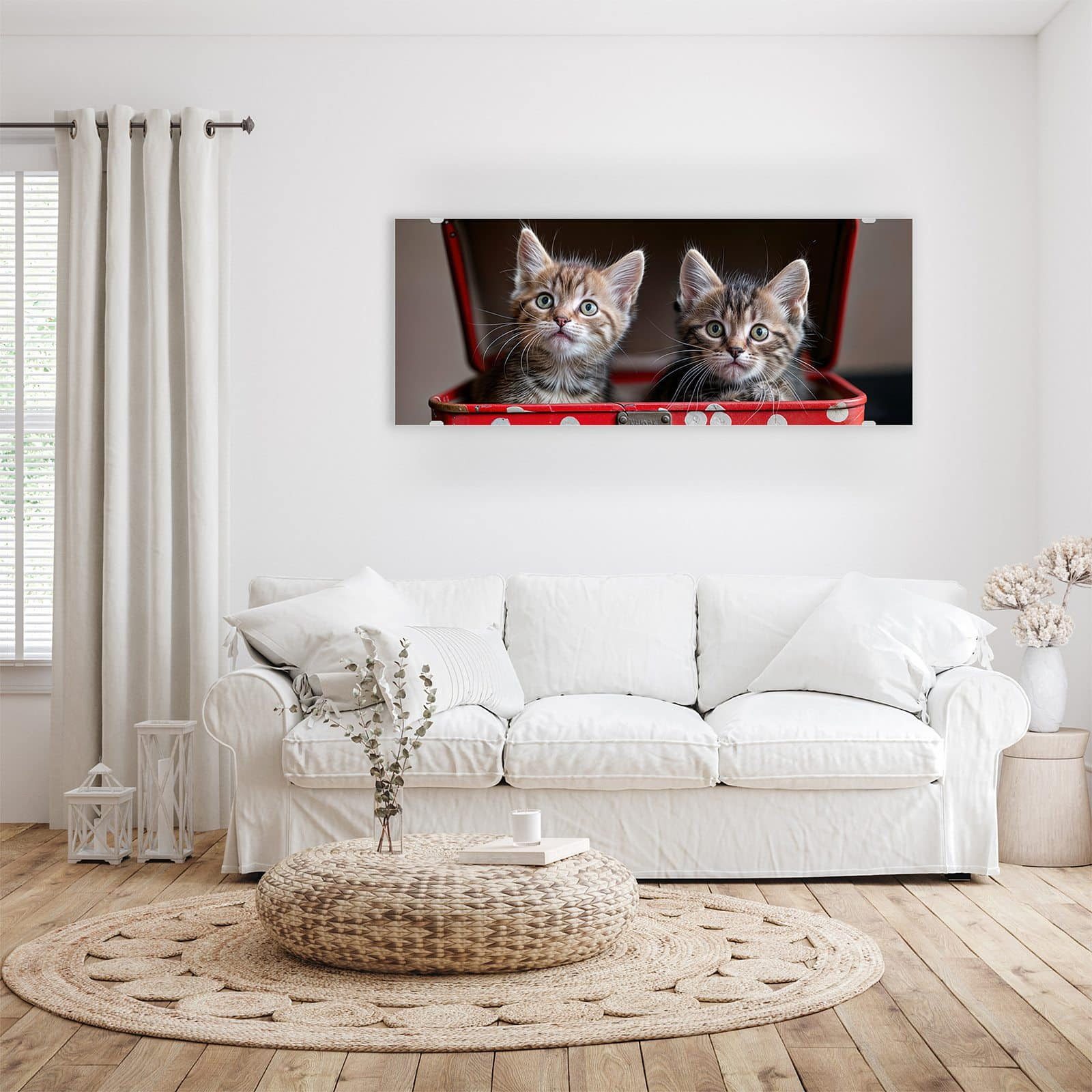 Primedeco Glasbild Wandbild Katzen im Koffer mit Aufhängung, Tierwelt (21 verschiedene Größen, 1 St), Elegante Aufhängung