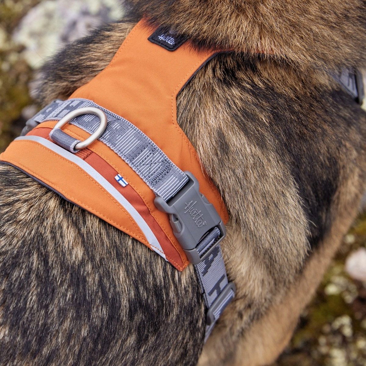 HURTTA Hunde-Geschirr Hundegeschirr Rover Harness cinnamon