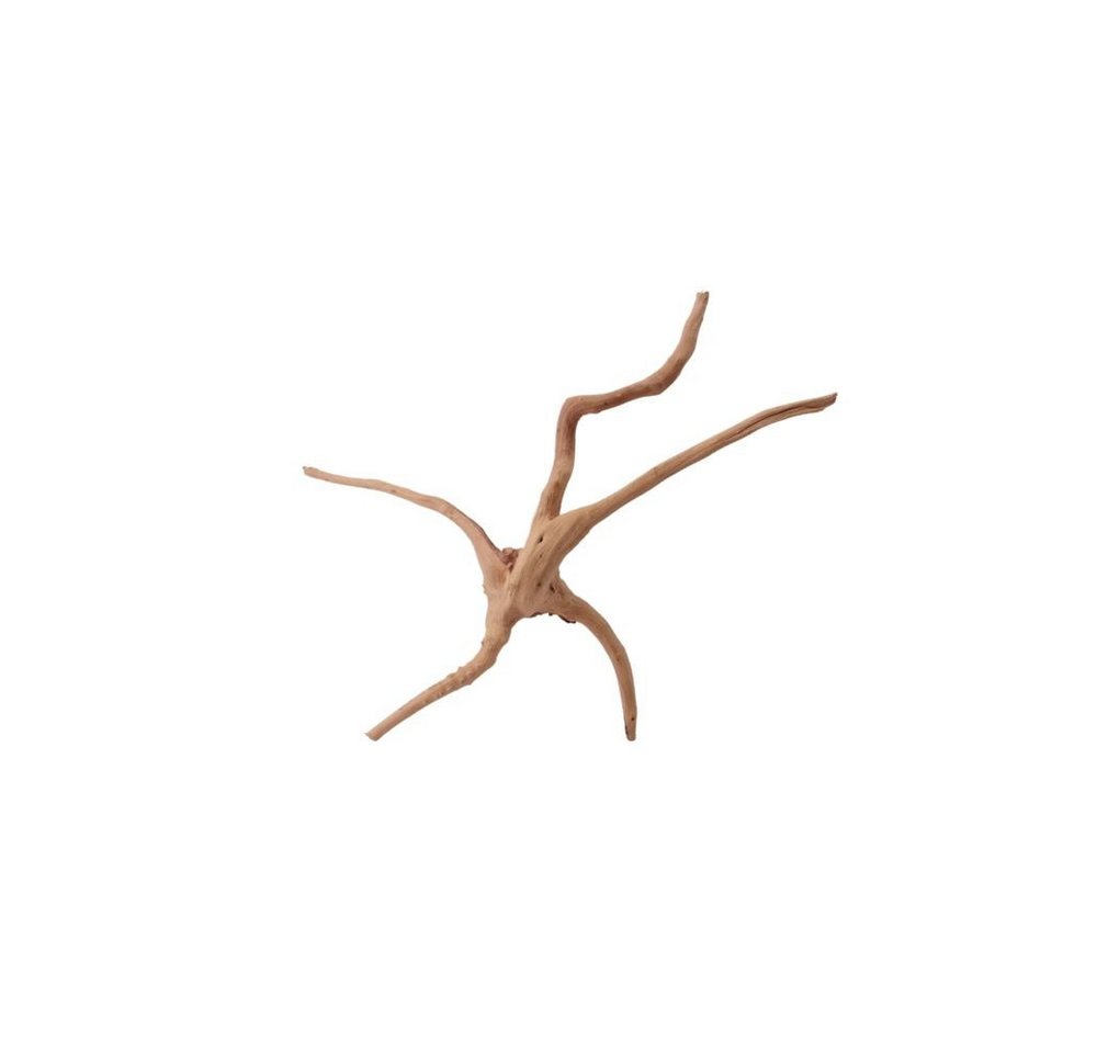 Thumbnail - Aquaone Aquarium M Moorkienwurzel Nr.9934 Holz Deko Aquascaping