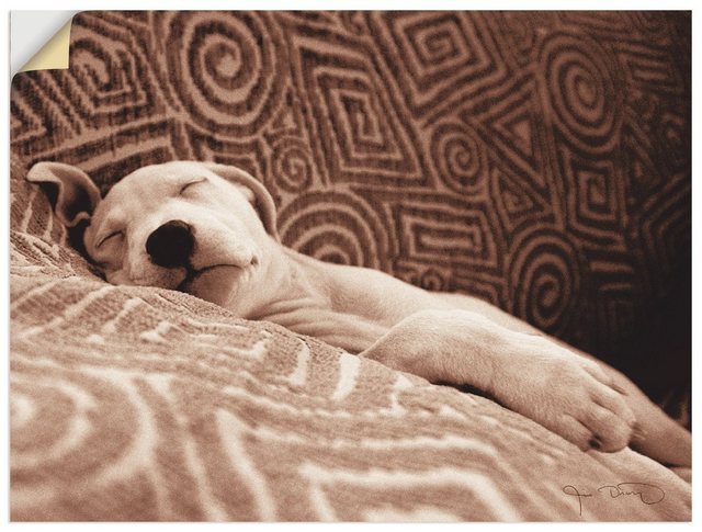 Artland Wandbild »Müder Hund«, Haustiere (1 Stück), in vielen Größen & Produktarten -Leinwandbild, Poster, Wandaufkleber / Wandtattoo auch für Badezimmer geeignet-Otto
