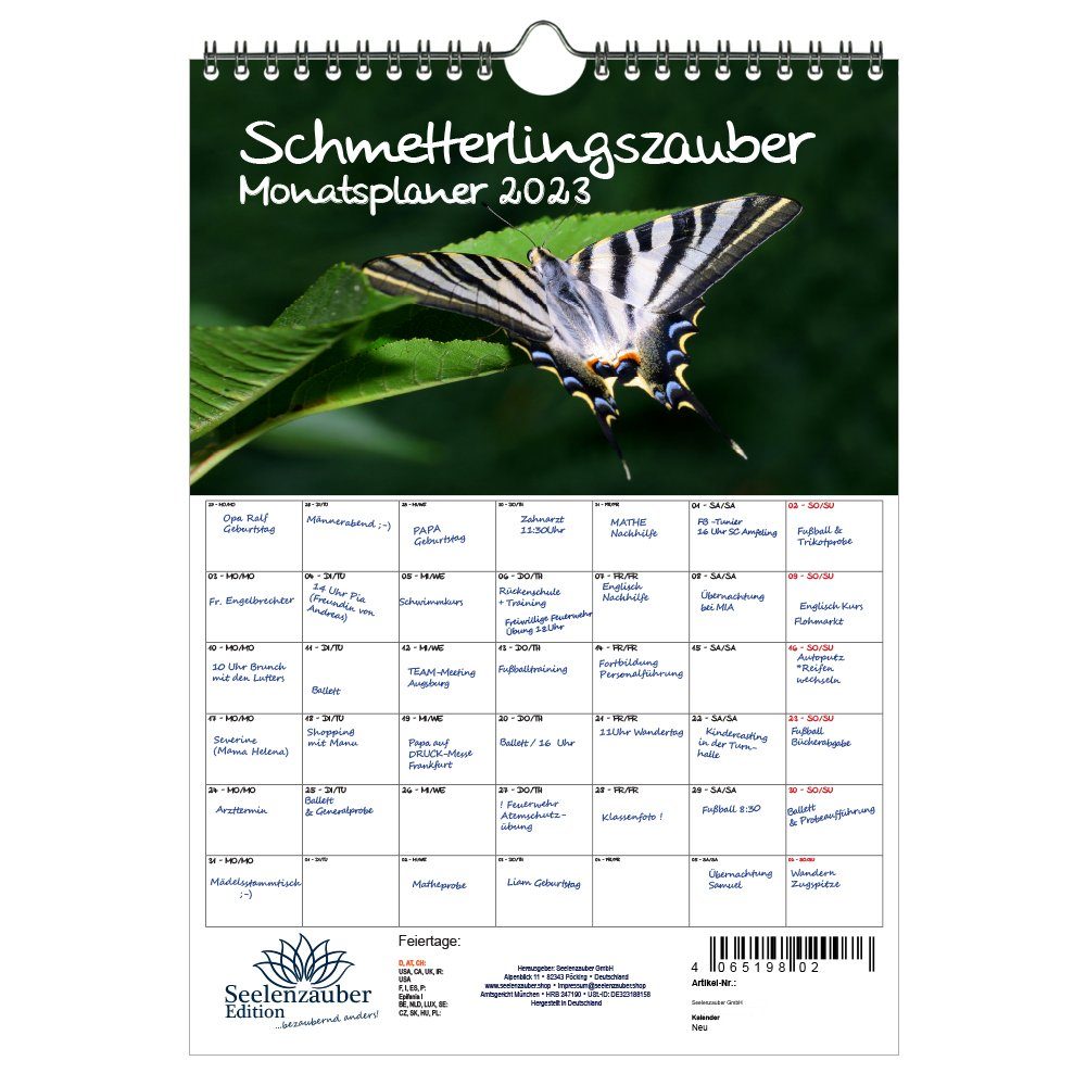 Schmetterlingszauber für Groß und Klein: Kostenlose Ausmalbilder zum Entspannen und Kreativwerden