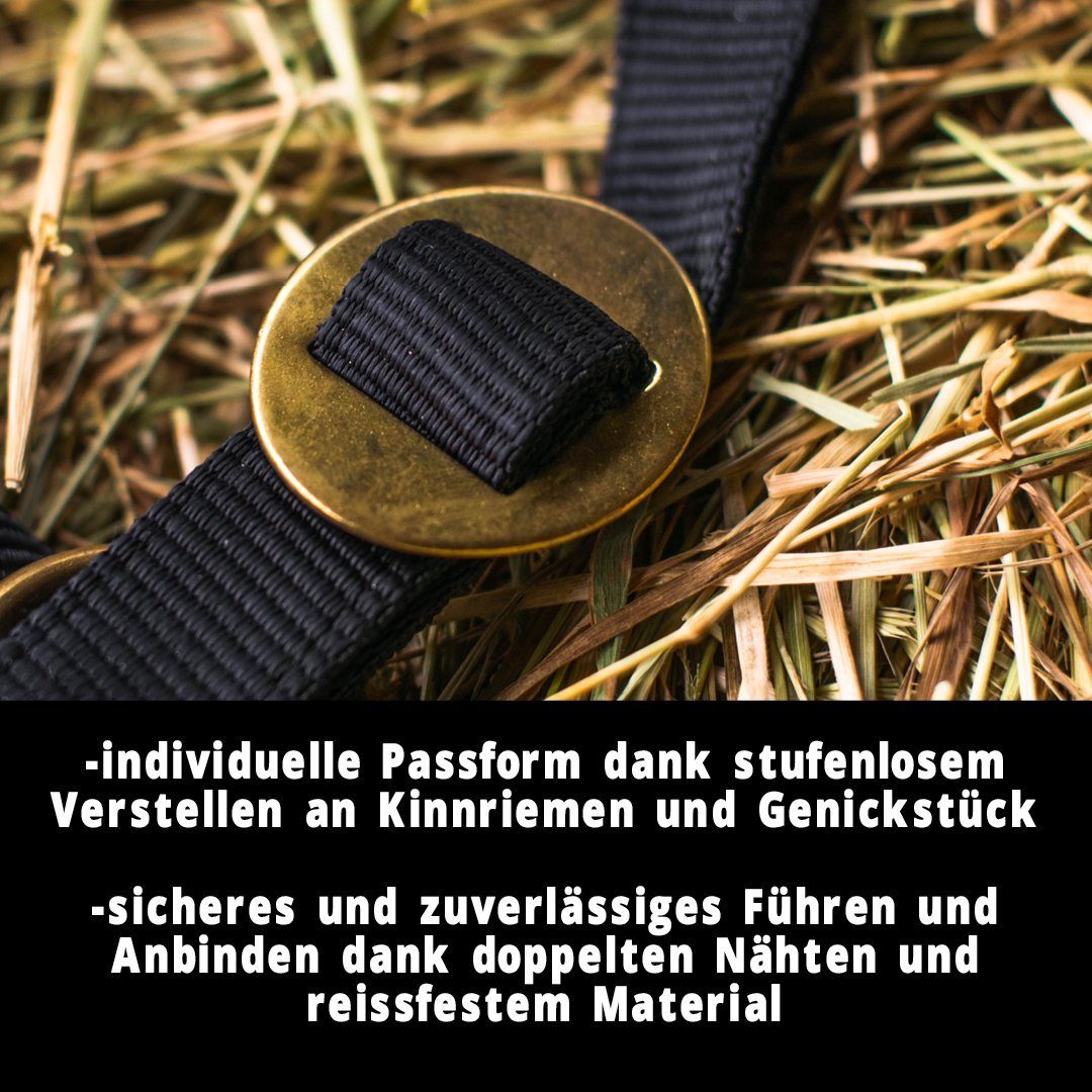 Pferdelinis Halfter Halfter für Pferde 2-Fach verstellbar an Kinnriemen und Genickstück, zweifach verstellbar