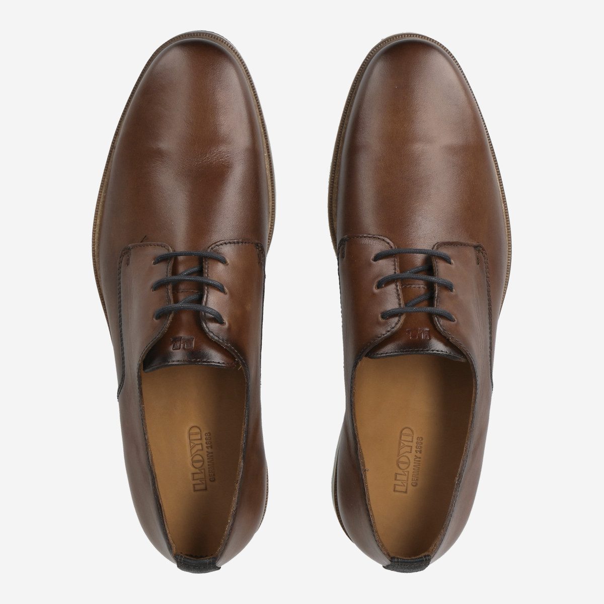 Lloyd Lloyd 14-007-03 DAKIN, Schnürschuhe in Braun für Herren Schnürschuh günstig online kaufen