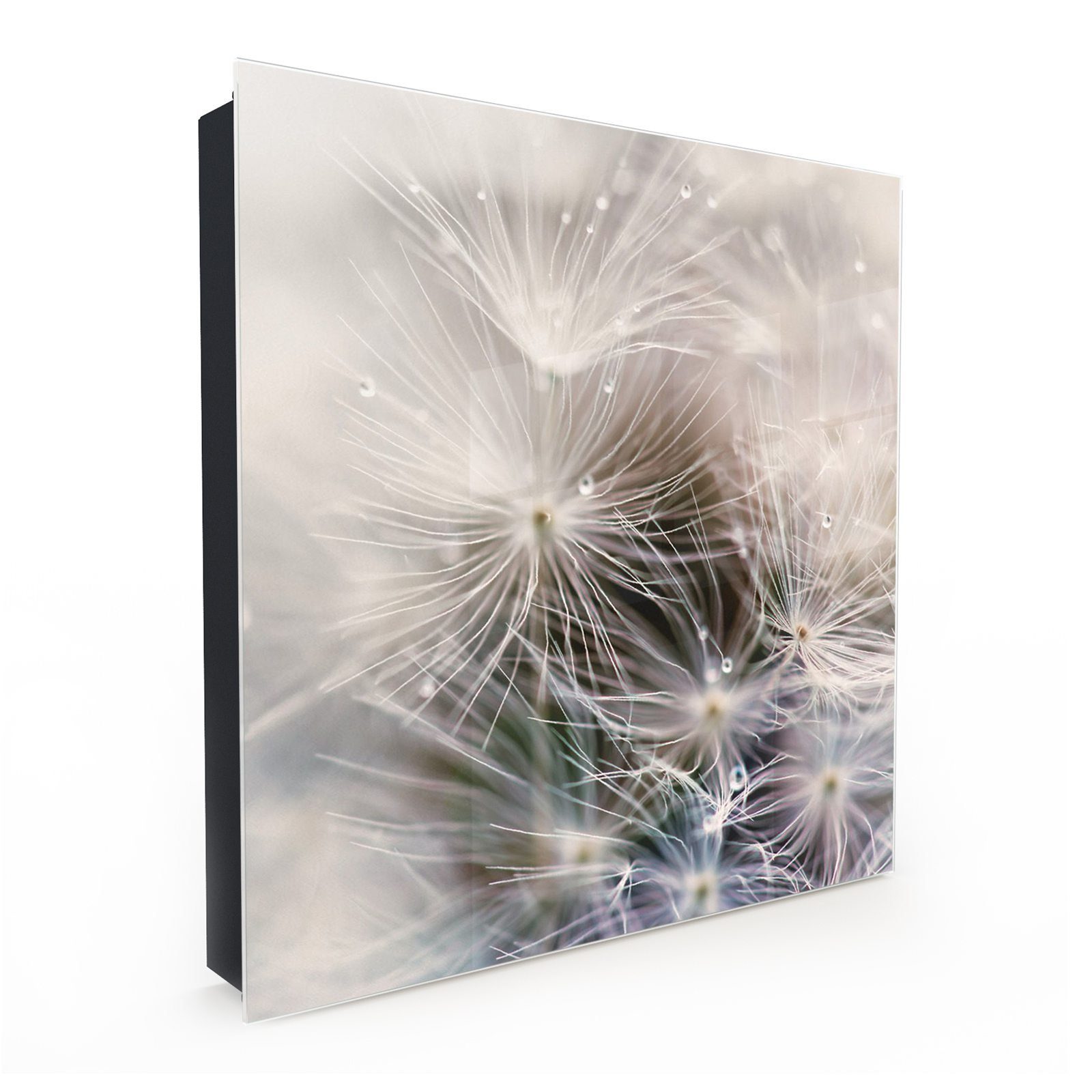Primedeco Schlüsselkasten Magnetpinnwand und Memoboard mit Glasfront Motiv Pusteblume von Nah (1 St)