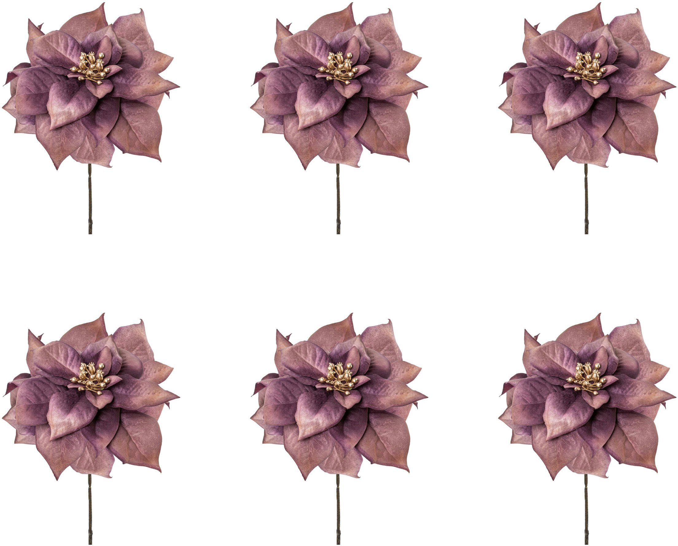 Winterliche Kunstpflanze Weihnachtsdeko Weihnachtsstern, Creativ green, Höh günstig online kaufen