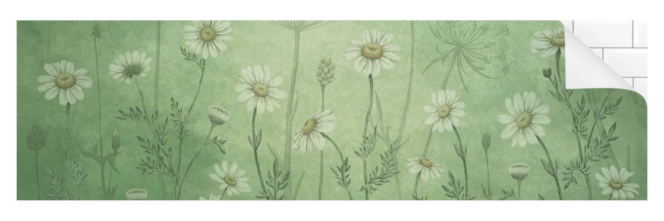 Bilderdepot24 Küchenrückwand grün Blumen Natur Gänseblümchen im grünen Nebel, (1-tlg., Nischenrückwand - für Fliesenspiegel ohne Bohren - matt), Spritzschutz Rückwand Küche Herd - Folie selbstklebend versch. Größen